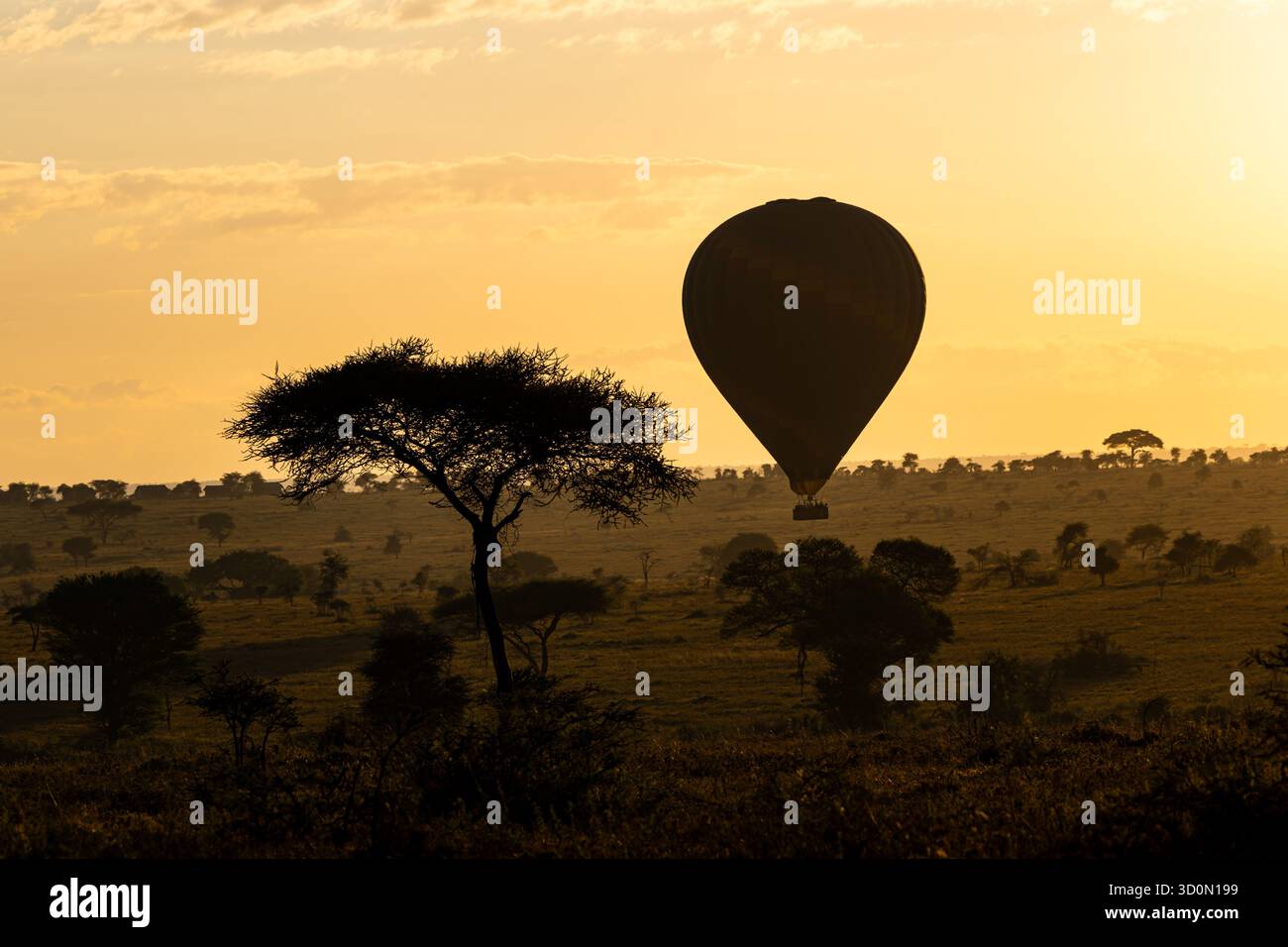 Blick auf einen Heißluftballon, der anmutig über die weiten Ebenen der Serengeti schwimmt, mit einer Silhouette vor dem goldenen Glanz des Sonnenaufgangs, Arusha, Serengeti nati Stockfoto