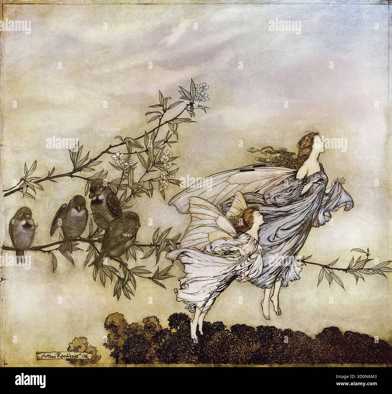 Arthur Rackham Illustration, die Feen haben ihre Tiffs mit den Vögeln, (Peter Pan), Stift und Tinte mit Aquarell, 1906 Stockfoto