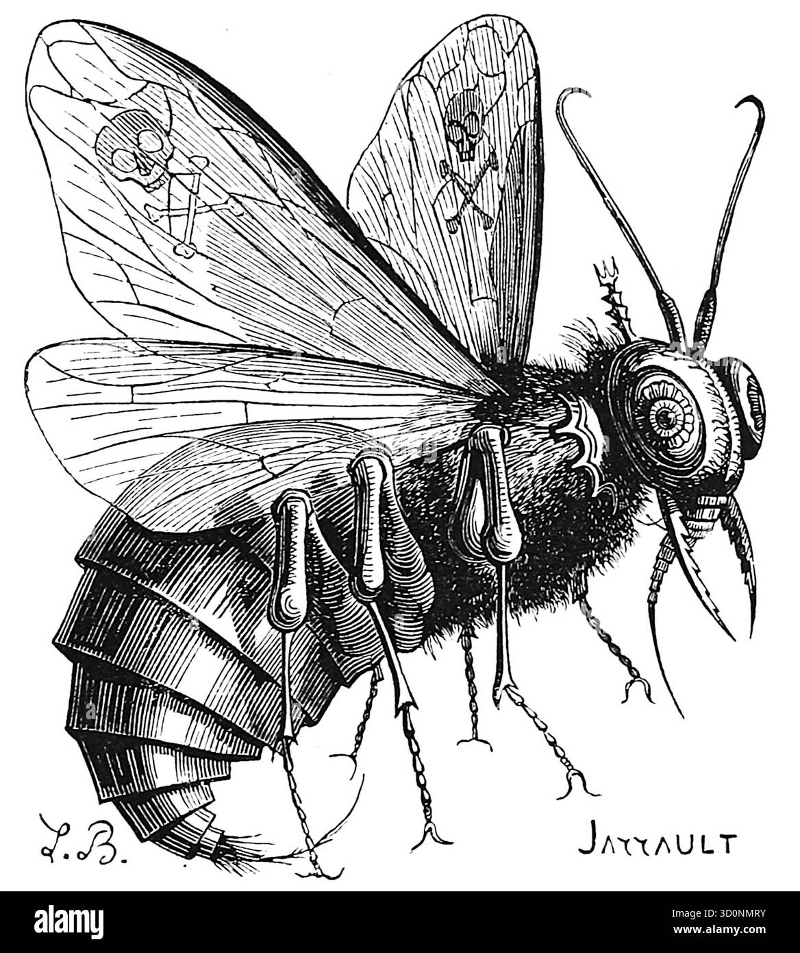 Louis Le Breton - Belzebub - 1863 - die Abbildung zeigt die Figur des Beelzebub als große, dämonische Fliege. Seine Flügel haben vorstehende Adern und sind mit einem Schädel und Kreuzknochen markiert. Der Körper der Fliege ist segmentiert, und ihr Kopf hat große, detaillierte, facettenreiche Augen und hornartige Antennen. Seine Mundteile sind als scharfe, stechende Werkzeuge dargestellt und haben mehrere Beine. Diese Darstellung von Beelzebub als Fliege ist in der Dämonologie häufig, da sie Sünde, Verfall und die Ausbreitung von Krankheiten darstellt. Stockfoto