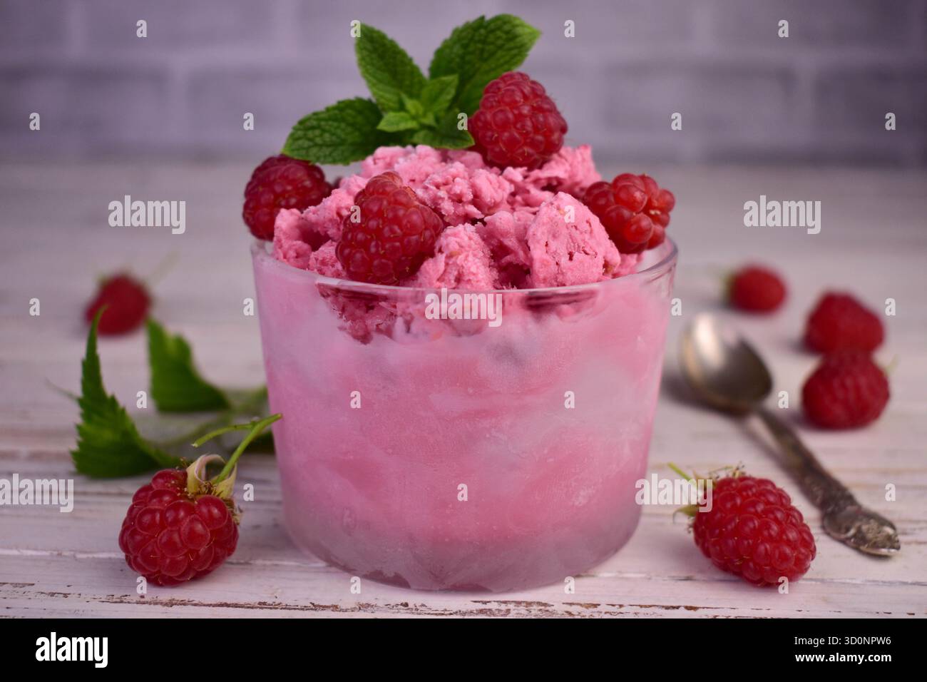 Sommer Himbeer-Sorbet mit frischen Himbeeren, selektives Fokusbild Stockfoto