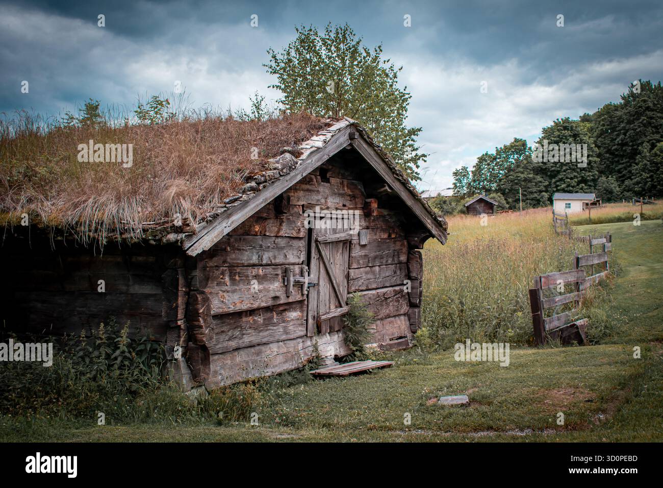 Eine verlassene Holzhütte mit einem Dach, das lange mit Gras bewachsen ist. Stockfoto