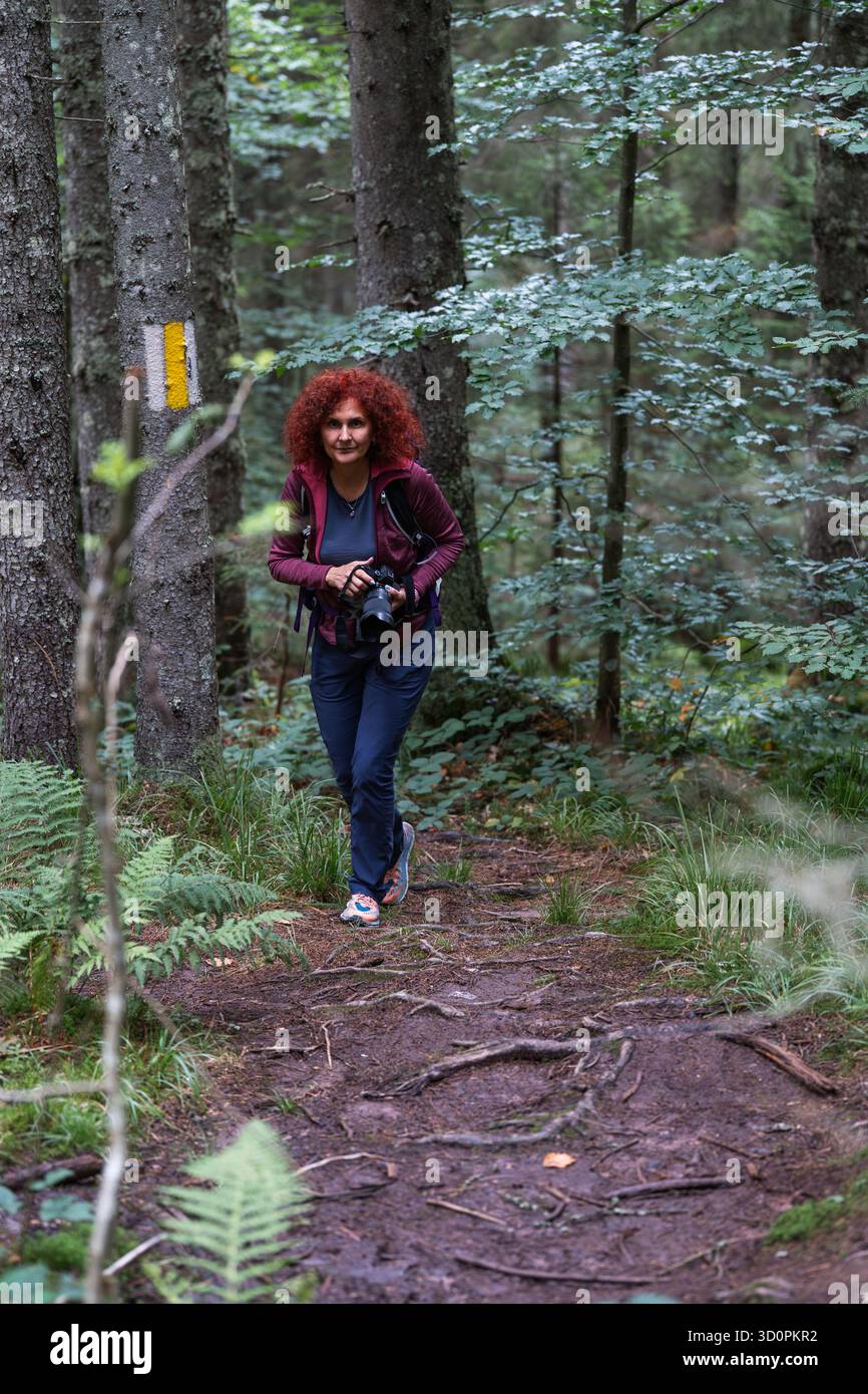 Lockige rothaarige Frau, die auf einem markierten Waldweg in den Apuseni-Bergen wandert, eine Kamera hält und von üppigem Grün im natürlichen Licht umgeben ist Stockfoto