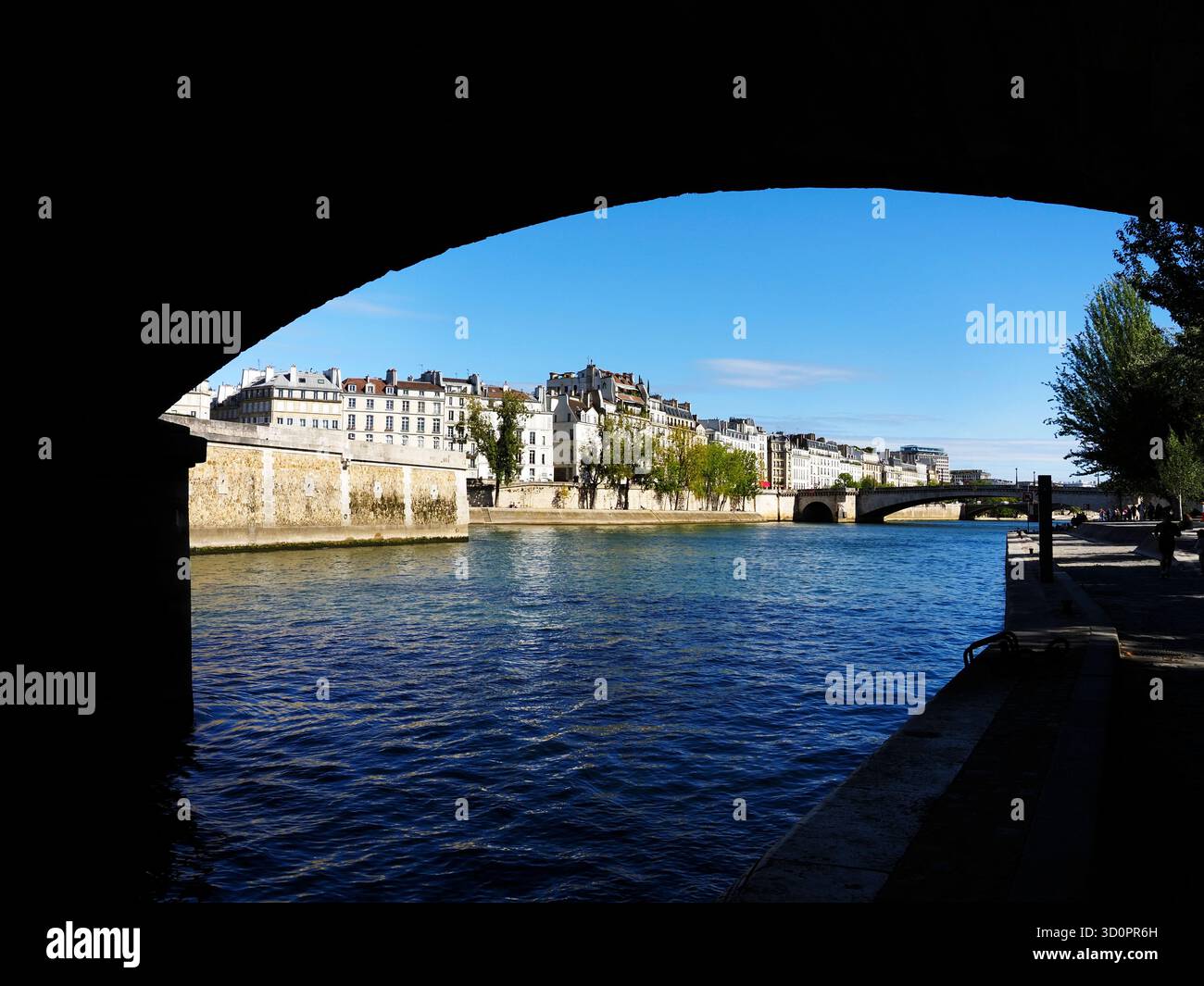 Blick auf die Ile St. Louis unter der Pont de l'Archevêché in Paris Frankreich Stockfoto