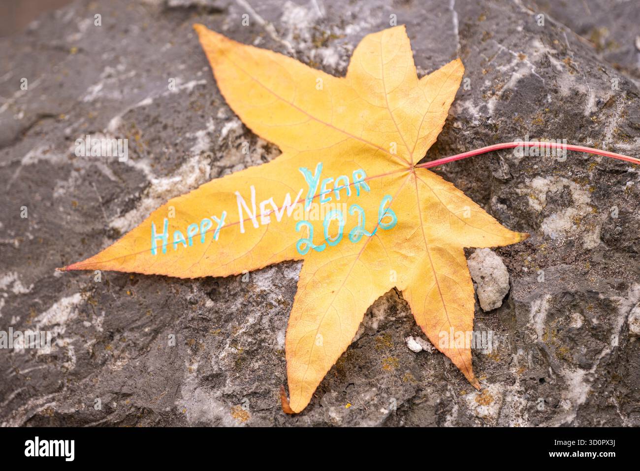 Happy New Year 2026 auf gelbem Ahornblatt geschrieben – Herbstgrußkonzept. Künstlerisches Foto eines gelben Ahornblattes mit Text Happy New Year Stockfoto