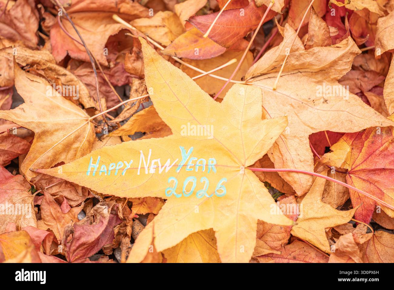 Happy New Year 2026 auf gelbem Ahornblatt geschrieben – Herbstgrußkonzept. Künstlerisches Foto eines gelben Ahornblattes mit Text Happy New Year Stockfoto