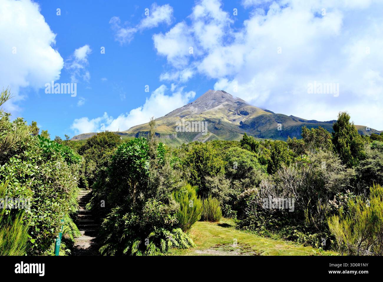 Malerische Ausblicke auf Mount Taranaki (Mount Egmont) in der Nähe von New Plymouth, Neuseeland, mit ländlichen Landschaften, Straßen und üppigem Grün unter blauem Himmel. Stockfoto