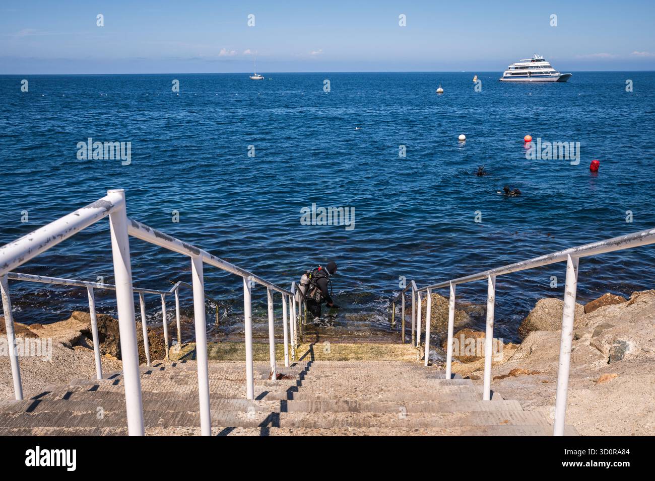Avalon, Catalina Island, CA USA - 25. April 2019: Im Casino Point Underwater Park erwarten Taucher klares Wasser und lebendige Meereslebewesen. Stockfoto