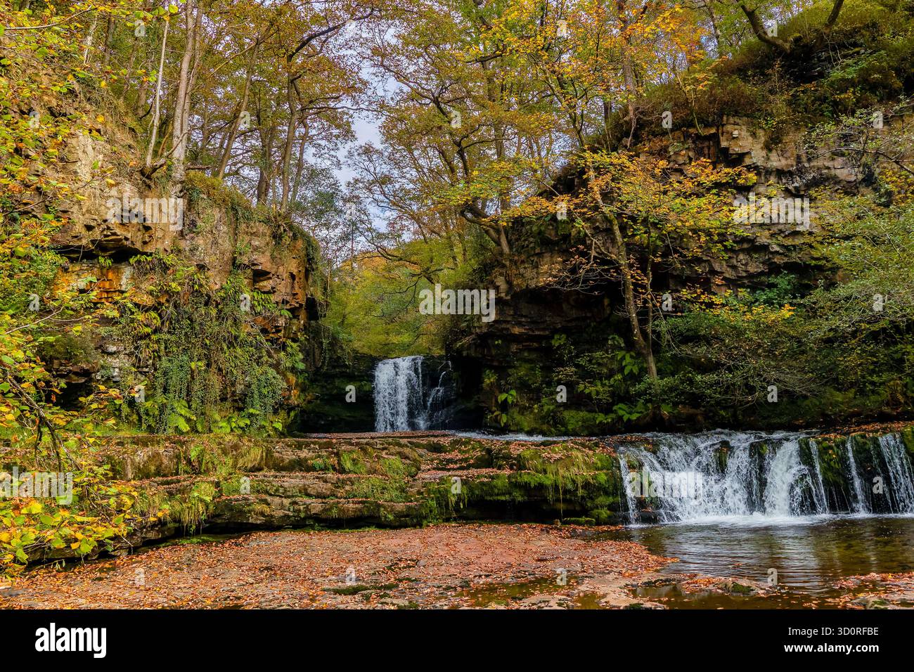 Sgwd Ddwli ISAF Wasserfall, der über moosige Felsen stürzt und von Herbstlaub umgeben ist Stockfoto