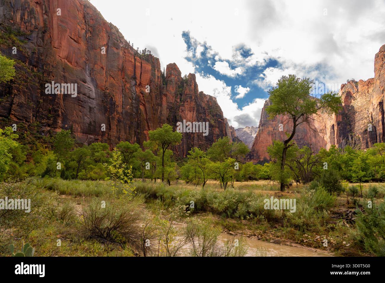 Ein schlammiger Fluss fließt durch ein üppiges grünes Tal am Fuße der majestätischen roten Sandsteinklippen im Zion-Nationalpark, Utah. Stockfoto