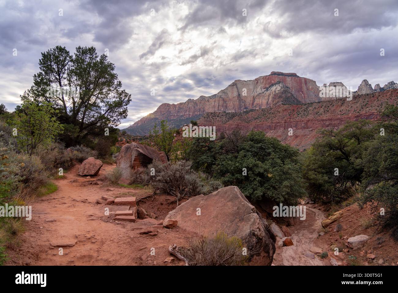 Ein Wanderweg schlängelt sich durch eine felsige Wüstenlandschaft mit roten Felsformationen und grünen Bäumen unter einem bewölkten Himmel. Stockfoto