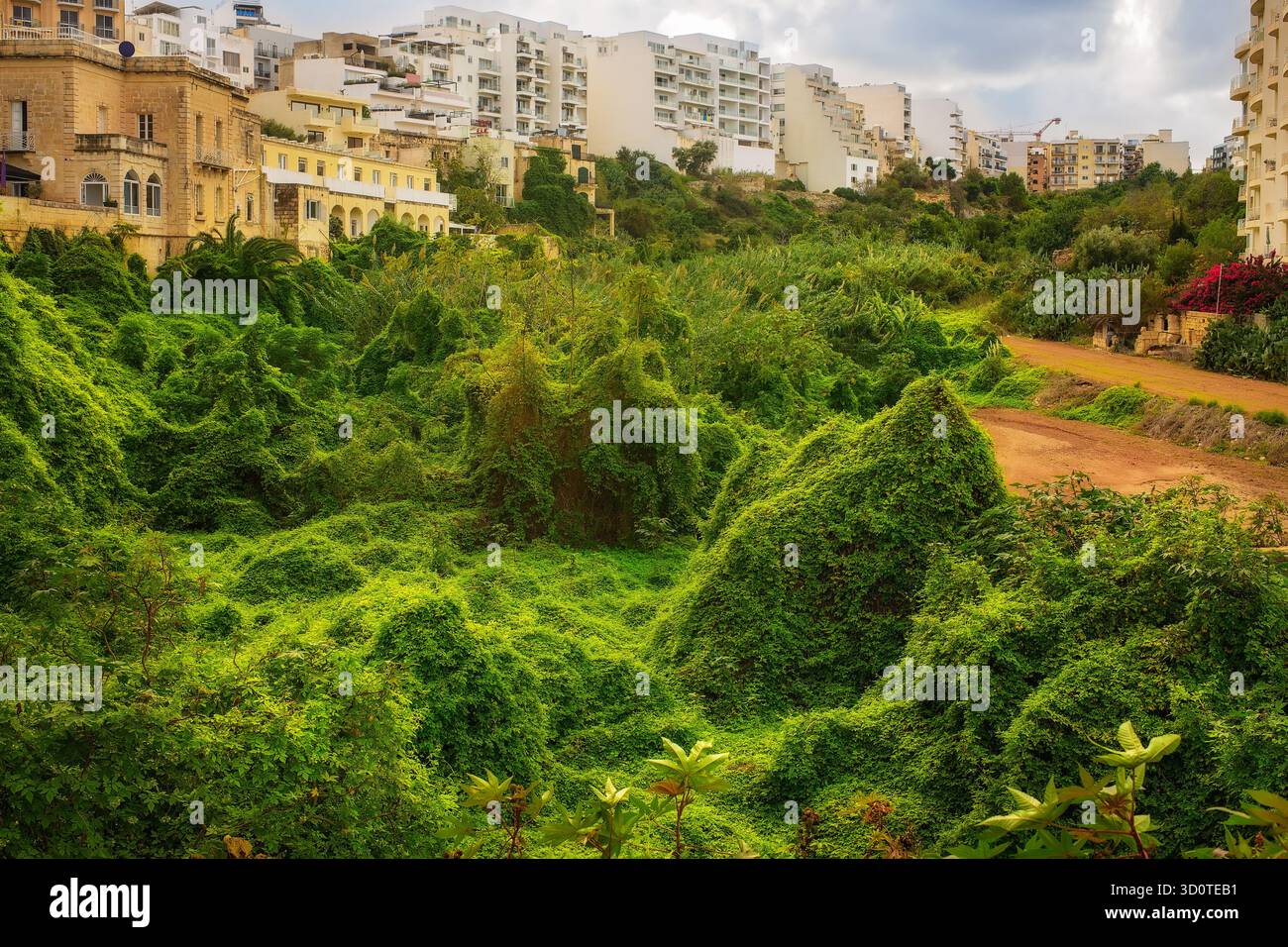 Ein unpassierbares grünes Tal mit dichter Vegetation und Kletterpflanzen zwischen modernen europäischen Stadtgebäuden. Stockfoto