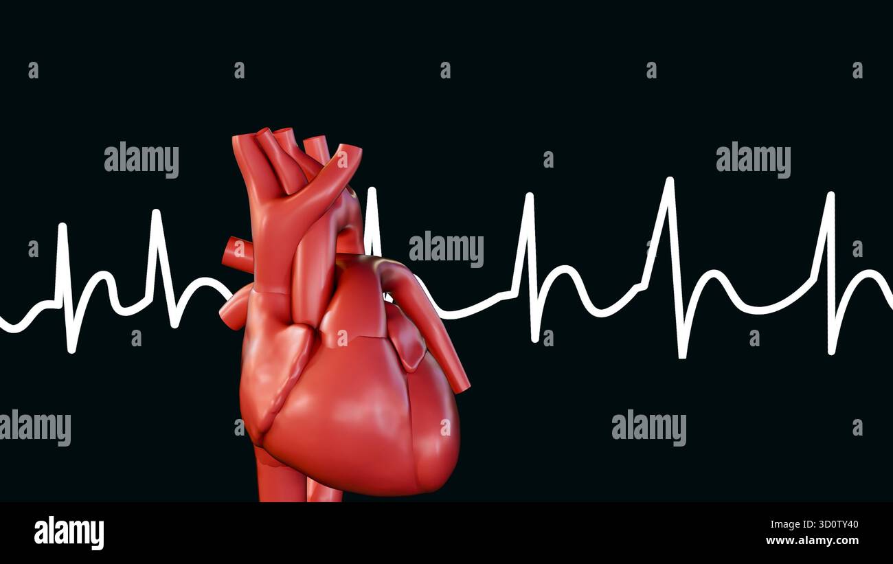 Eine 3D-Darstellung des menschlichen Herzens und des Pulses, die den Zustand der Arrythmie visualisiert. Stockfoto