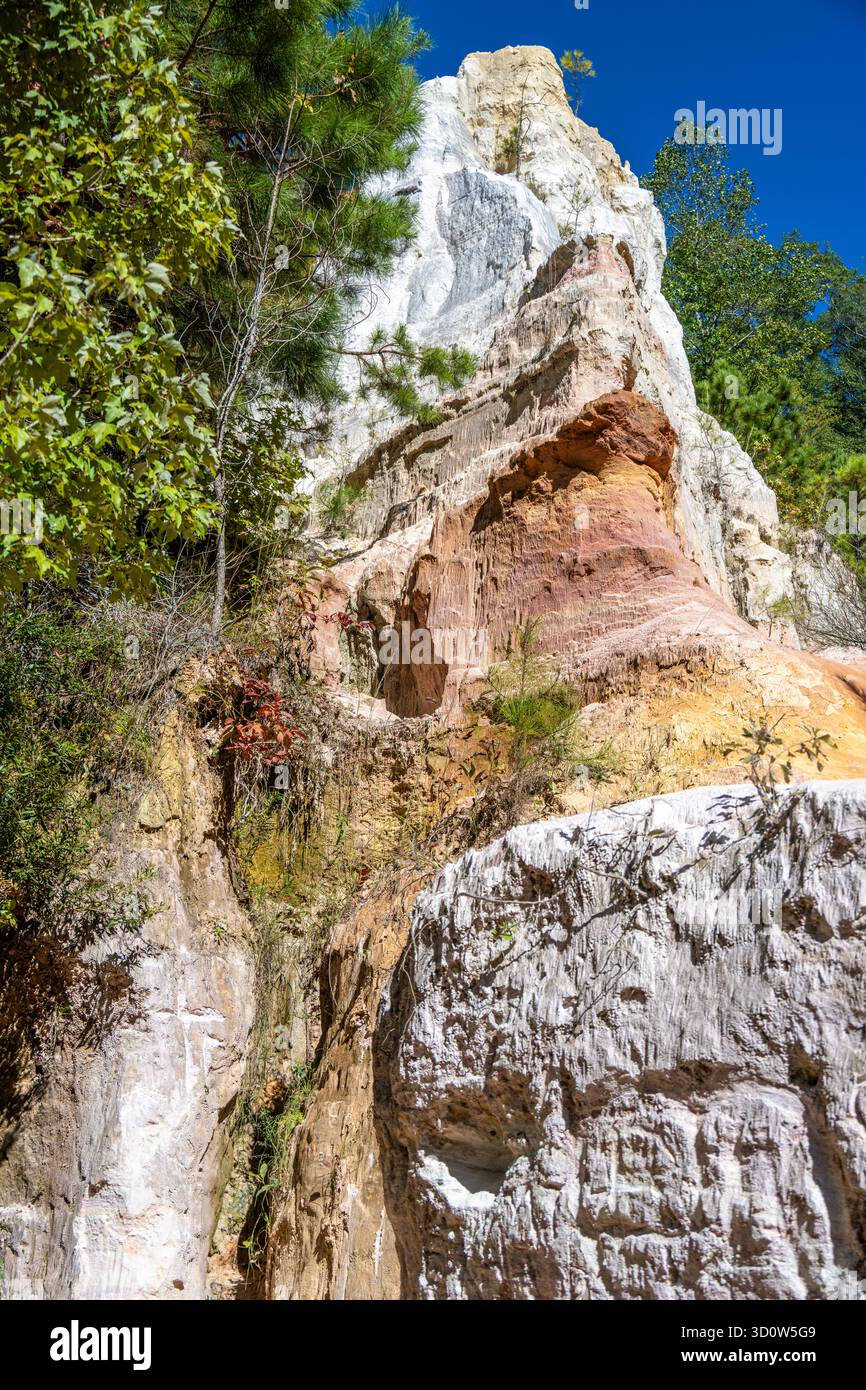 Farbenfrohe Schluchtwand am Providence Canyon in Lumpkin, Georgia. (USA) Stockfoto