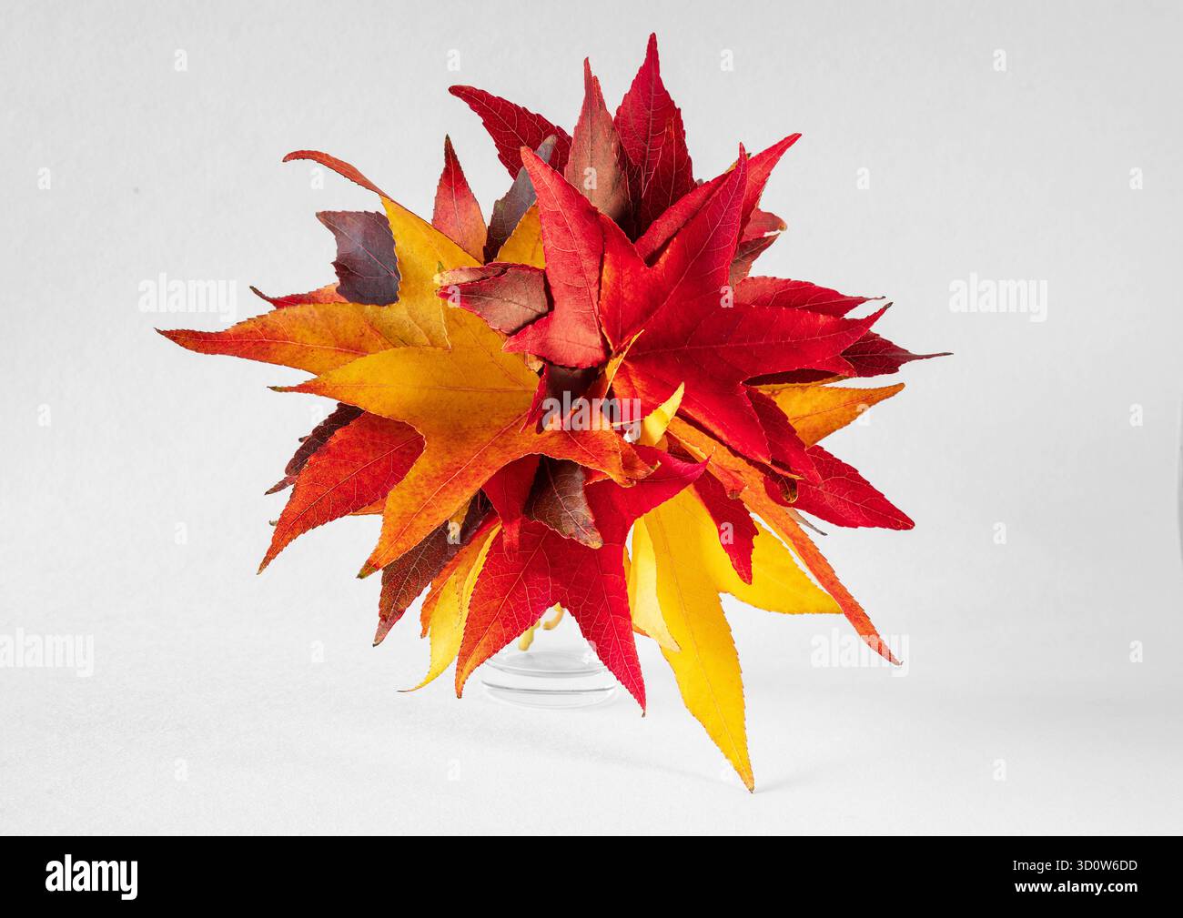 Ein Blumenstrauß aus roten und gelben Herbstblättern auf weißem Hintergrund Stockfoto