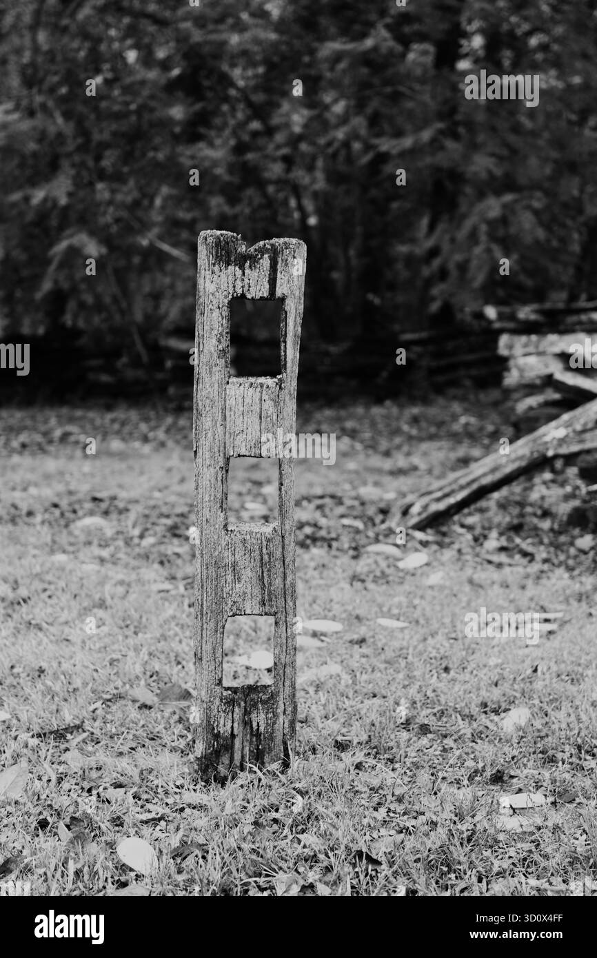 Alte Zaunpfosten. Stockfoto