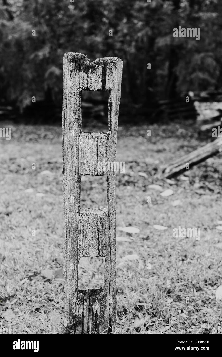 Alte Zaunpfosten. Stockfoto
