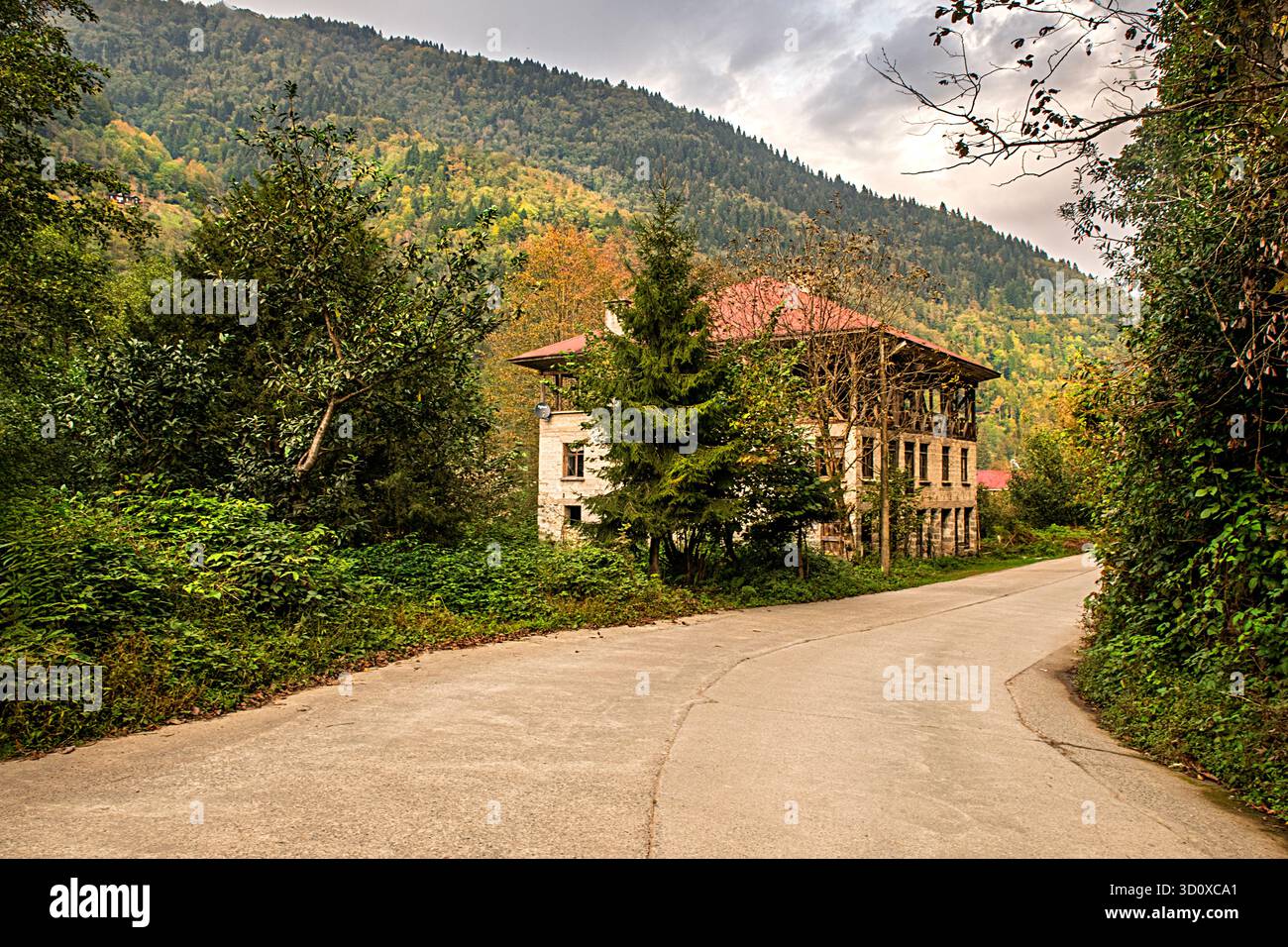 Blick von einem Tal im Schwarzen Meer Stockfoto