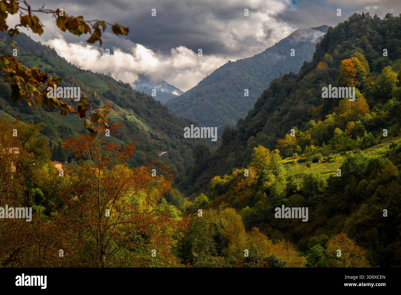 Blick von einem Tal im Schwarzen Meer Stockfoto