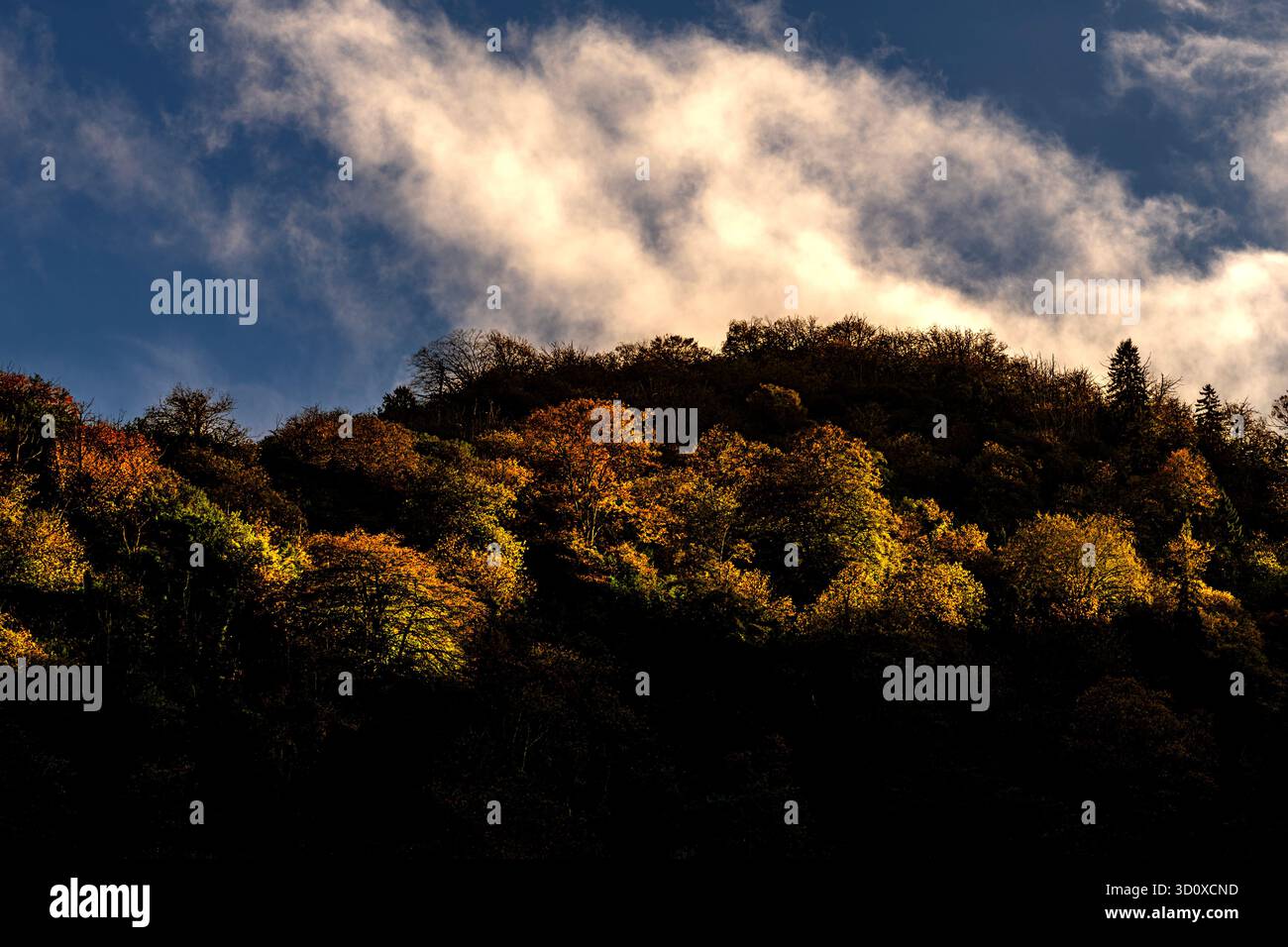 Blick von einem Tal im Schwarzen Meer Stockfoto