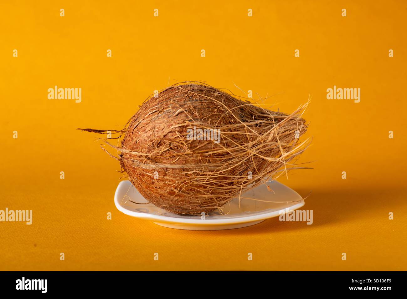 Ganze Kokosnuss in Keramikplatte auf gelbem Hintergrund – traditionelles indisches Essen und kulturelles Konzept Stockfoto