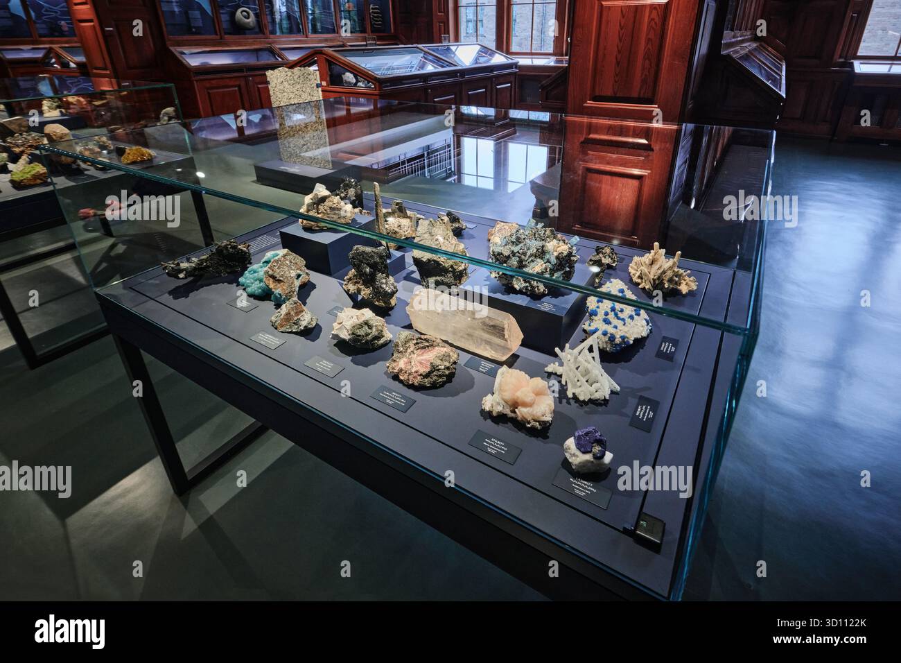 Oslo, Norwegen - 6. September 2025: Mineralsammlung im Naturkundemuseum von Oslo Stockfoto