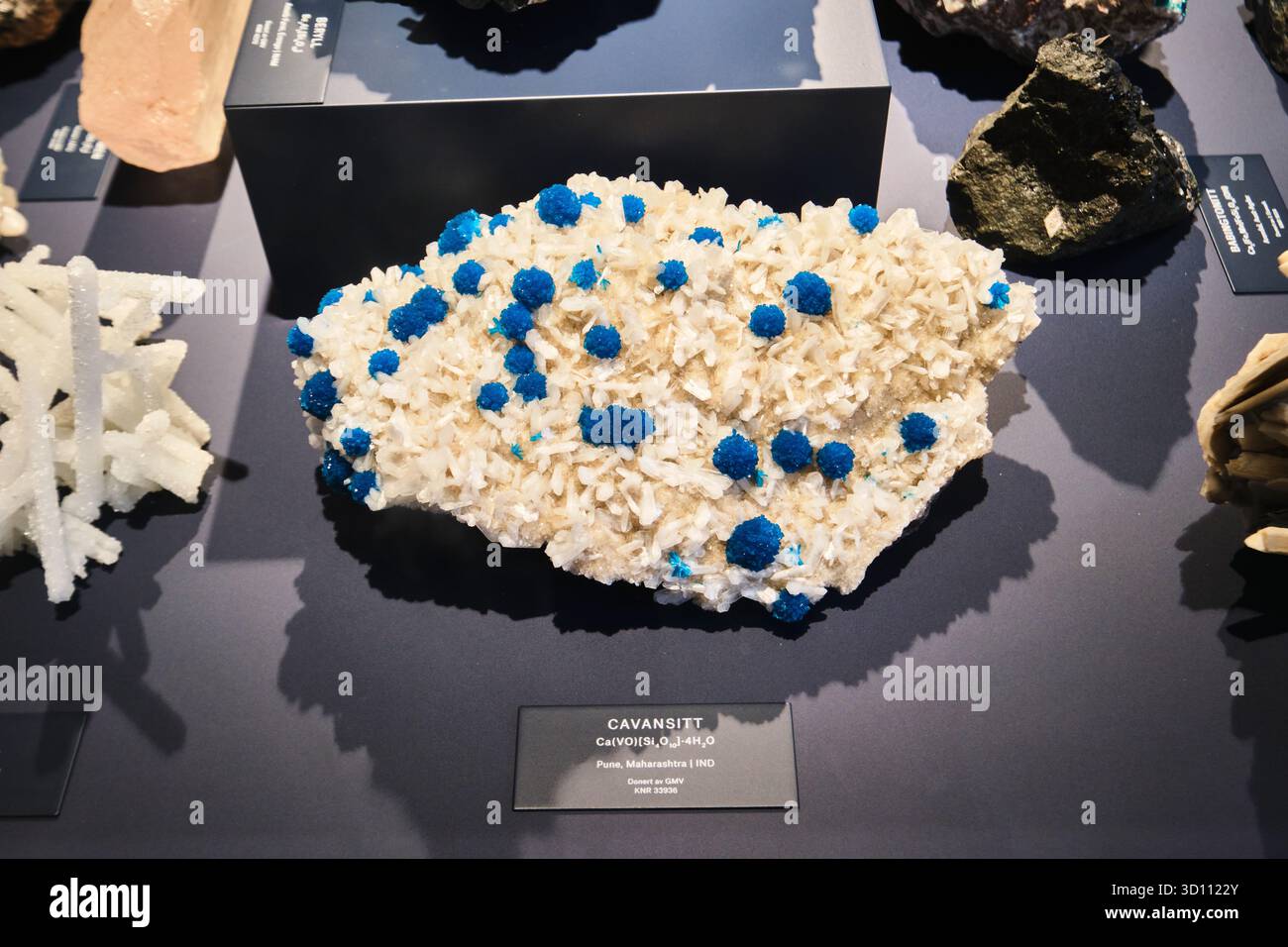Norwegen - 6. September 2025: Cavansite, Calciumvanadiumsilicat, ein blaues Mineral in basaltischen und andesitischen Gesteinen. Museum für Naturgeschichte von Oslo Stockfoto