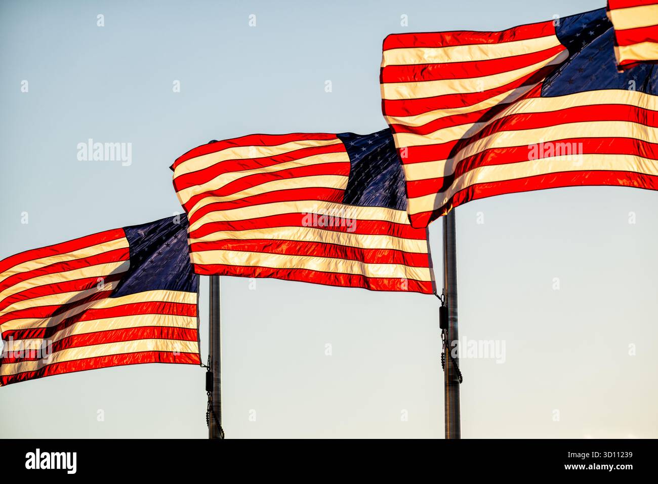 Amerikanische Flaggen im Golden Hour Sonnenlicht Washington DC // WASHINGTON DC – amerikanische Flaggen wehen am späten Nachmittag goldenes Sonnenlicht, beleuchtet wenige Minuten vor Sonnenuntergang. Diese Szene, die das warme Leuchten der „goldenen Stunde“ einfängt, ist typisch für die Hauptstadt der Nation, in der nationale Symbole deutlich sichtbar zu sehen sind. Washington DC im District of Columbia ist die Bundeshauptstadt der Vereinigten Staaten, eine Stadt, die für ihre berühmten Wahrzeichen und patriotischen Ausstellungen bekannt ist. Stockfoto