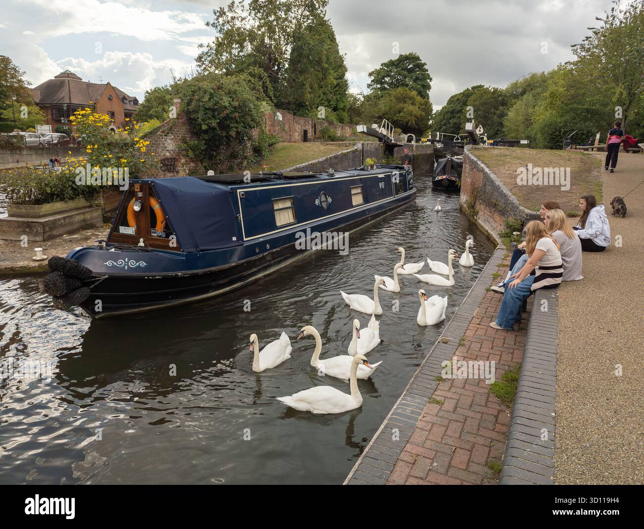 Schwäne und Schmalboot auf dem Kennet und Avon Canal, Newbury, England, Großbritannien Stockfoto