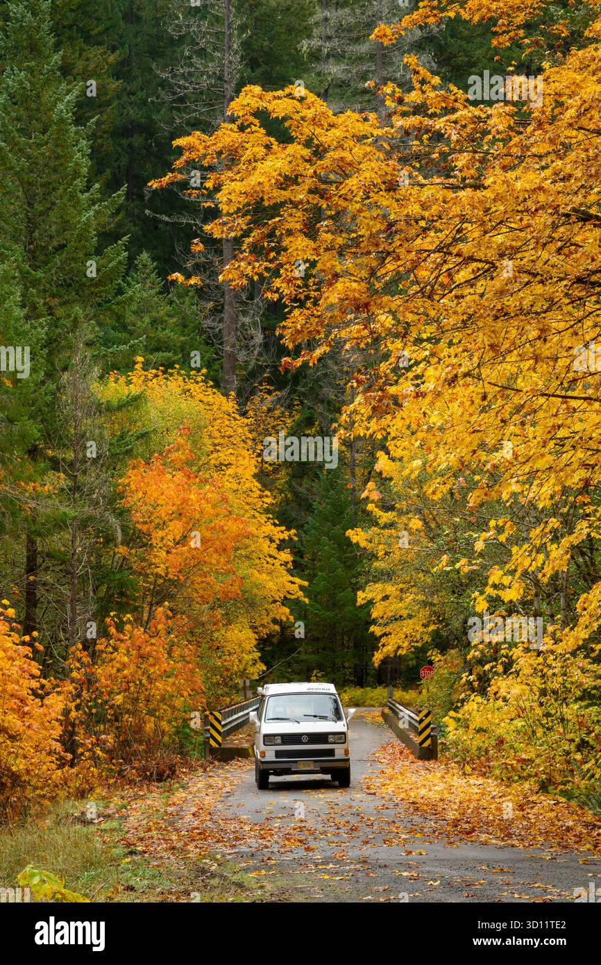 VW Westfalia auf der US Forest Service Road entlang des North Fork Middle Fork Willamette River, Oregon. Stockfoto