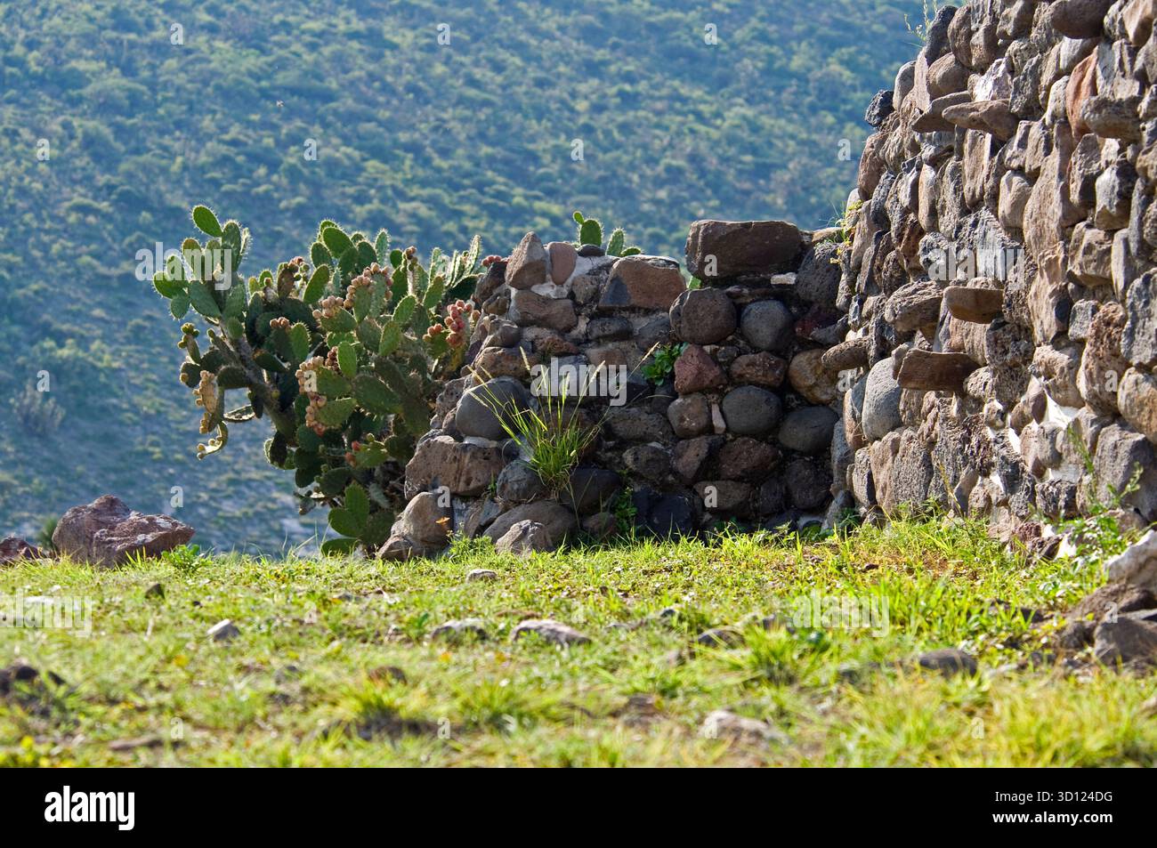 Archäologische Stätte in Tula, Hidalgo, Mexiko Stockfoto