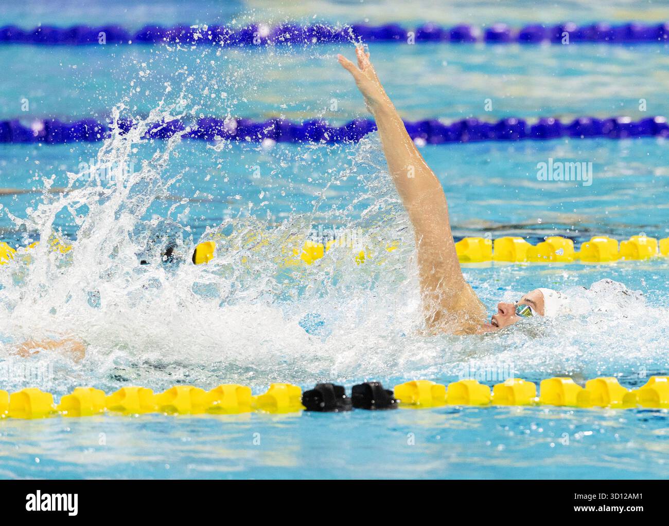 Toronto, Kanada. Oktober 2025. Kaylee McKeown aus Australien tritt am 25. Oktober 2025 beim 200-m-Rückschlag-Finale der Frauen beim World Aquatics Swimming World Cup 2025 in Toronto an. Quelle: Zou Zheng/Xinhua/Alamy Live News Stockfoto