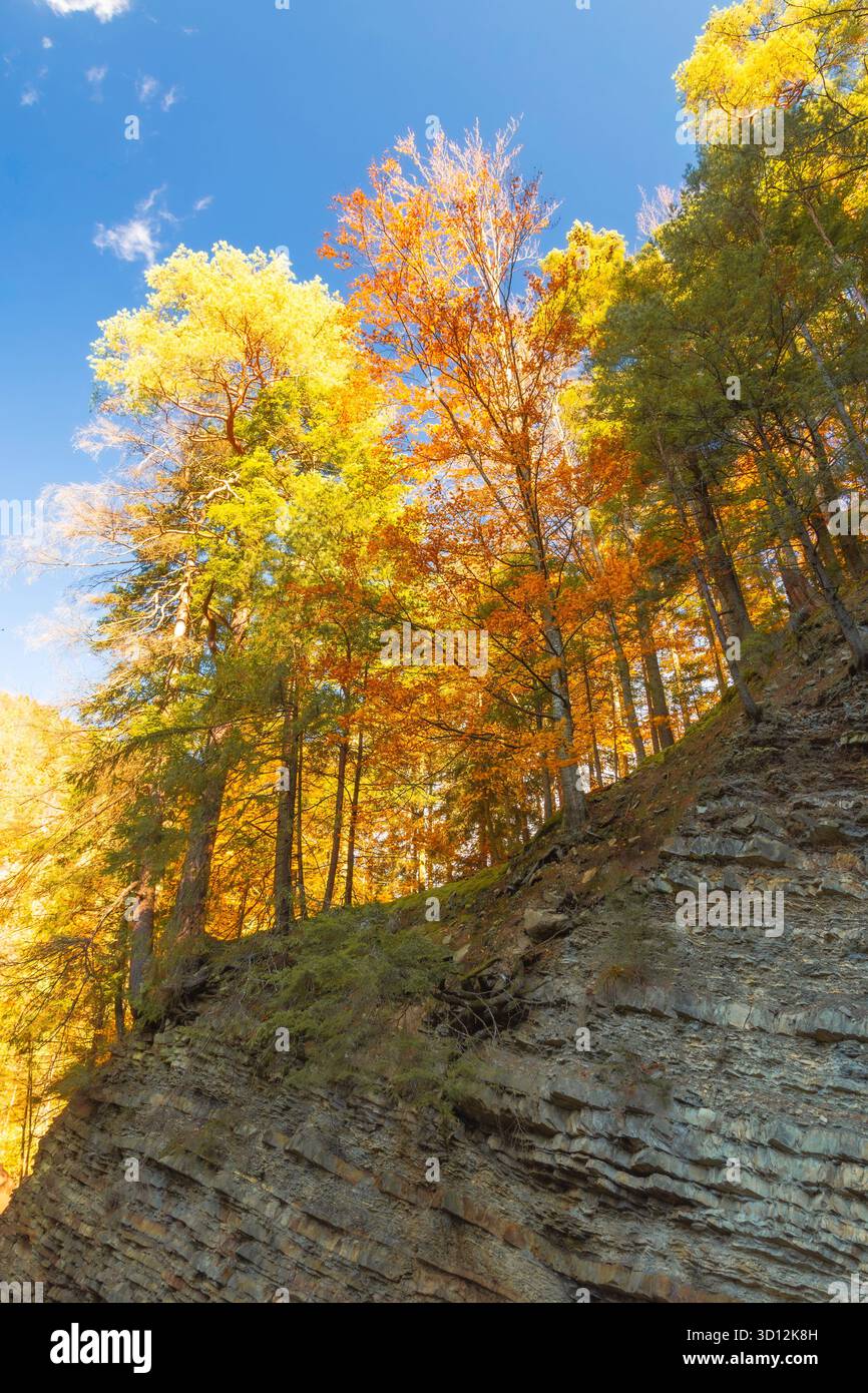 Bunte Herbstbäume wachsen auf einer gestuften Felsklippe unter klarem Himmel. Eine lebendige Waldszene mit saisonalen Veränderungen und geologischer Struktur. Stockfoto