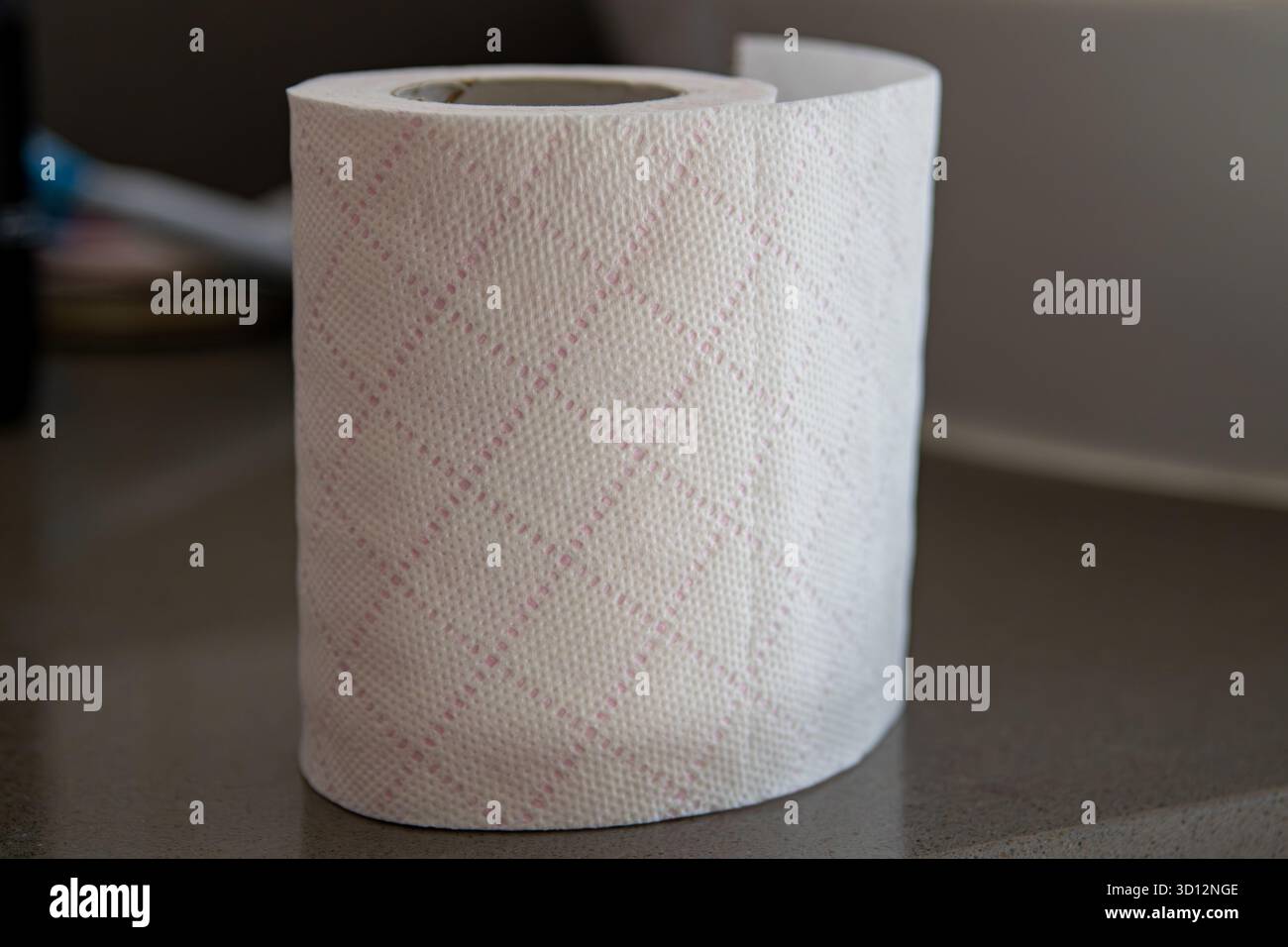 Toilettenpapierrolle mit gemusterter Textur, die auf einer grauen Theke steht und Hygiene-, Sanitär- und Haushaltsartikel darstellt Stockfoto