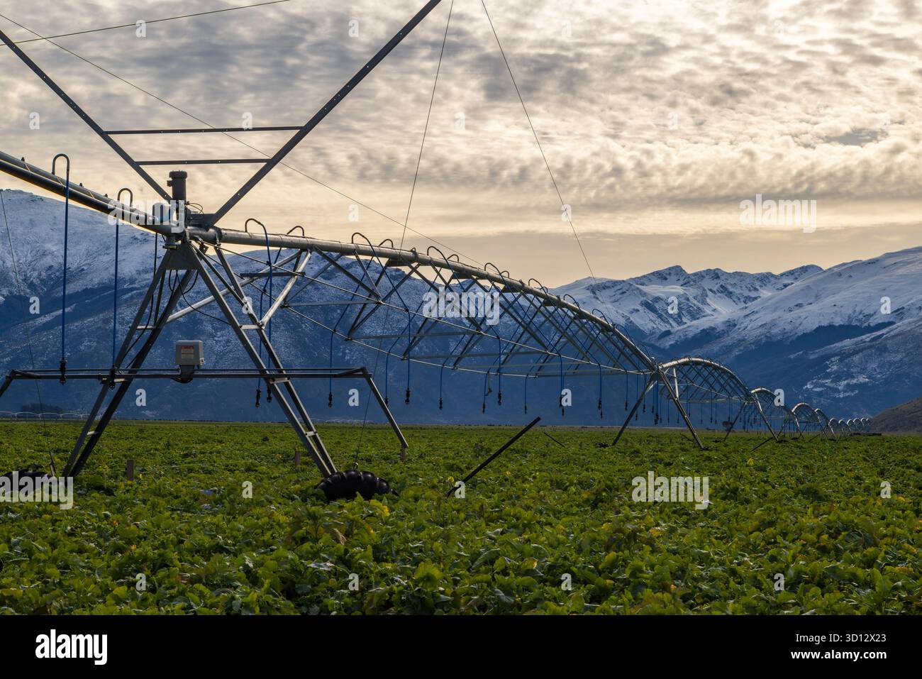 Ein langes Bewässerungssystem auf einer Farm in Neuseeland mit schneebedeckten Bergen im Hintergrund Stockfoto