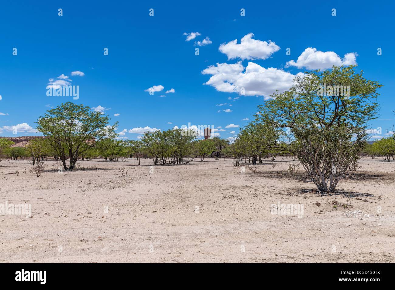 Sandstraße im Ugab-Tal, Namibia Stockfoto