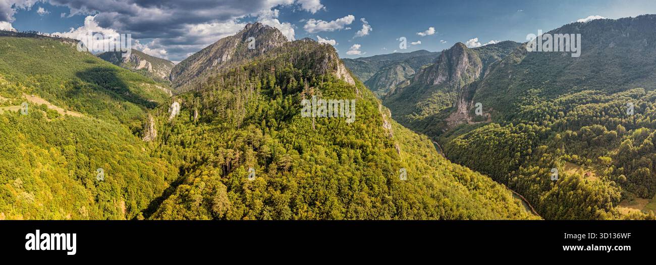 Weitläufiger Blick auf eine natürliche Berglandschaft mit üppig grünen Wäldern, hohen Gipfeln und einem sich windenden Fluss darunter Stockfoto
