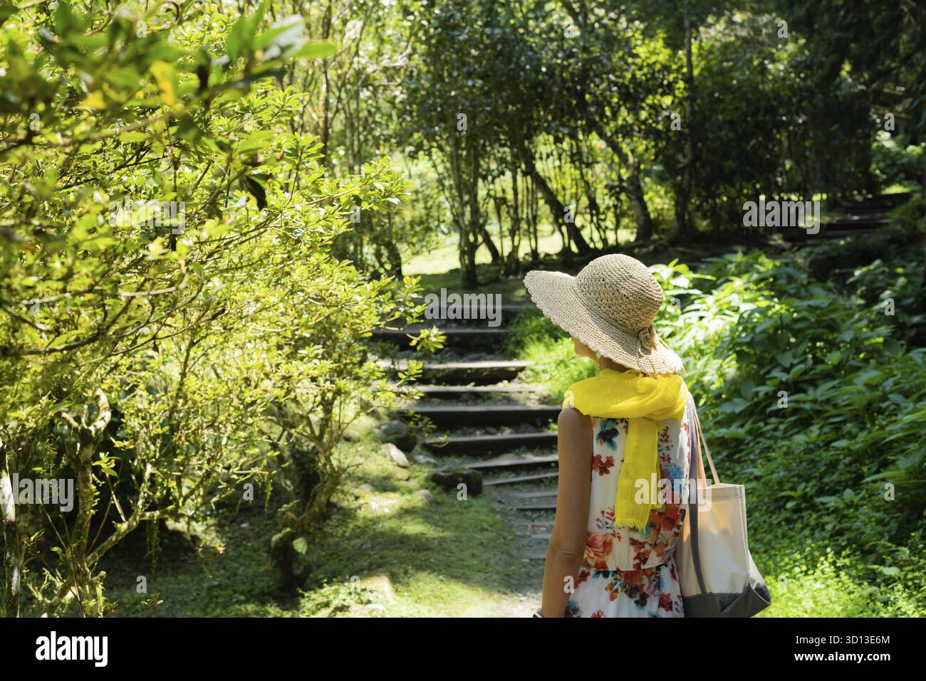 Reisende asiatische Frau beim Wandern im Wald in Xitou, Nantou, Taiwan Stockfoto