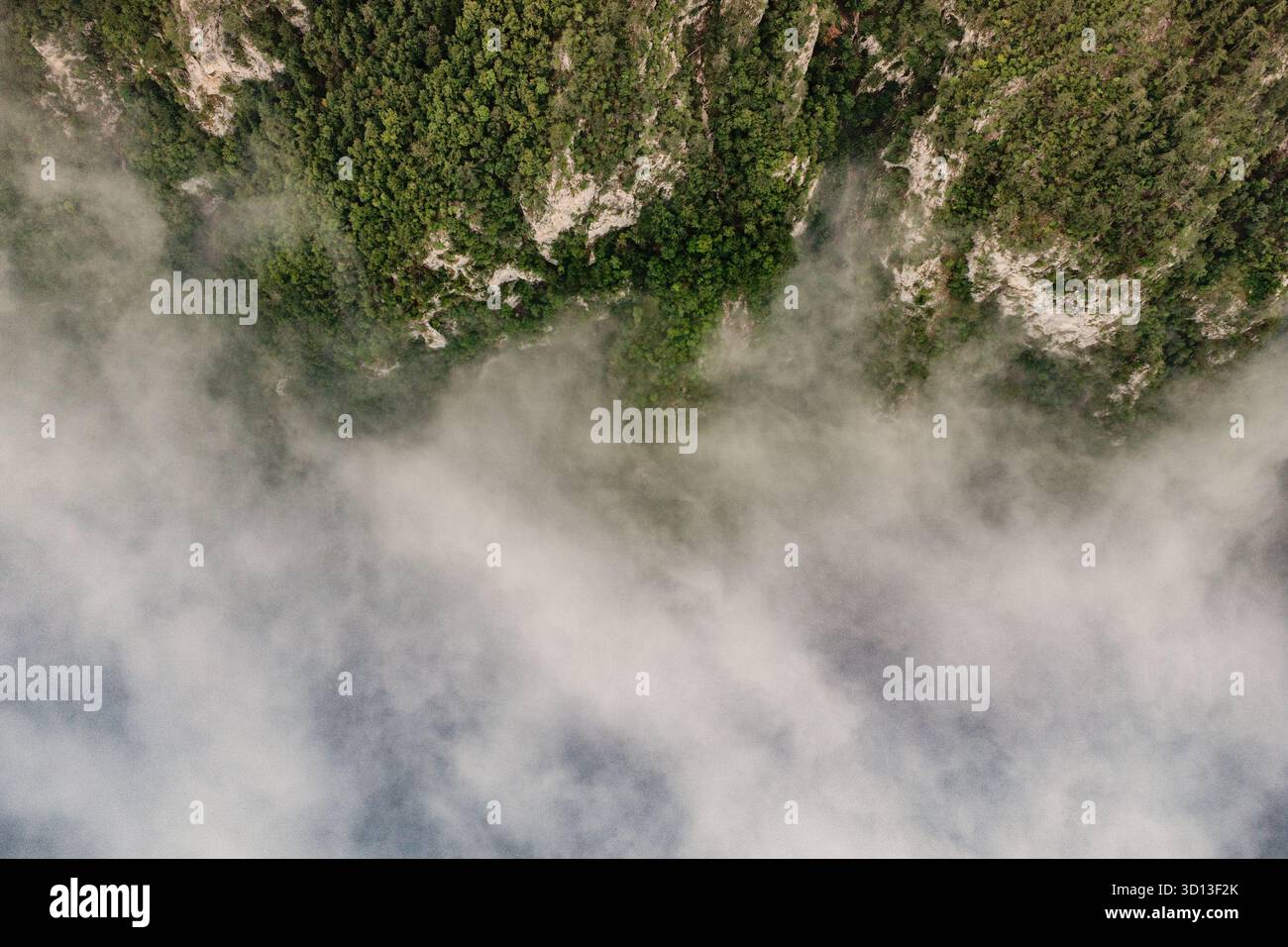 Aus der Vogelperspektive sehen Sie üppigen grünen Wald auf zerklüfteten Berggipfeln, die aus einer dichten Decke aus atmosphärischem Nebel und Wolken hervorgehen Stockfoto