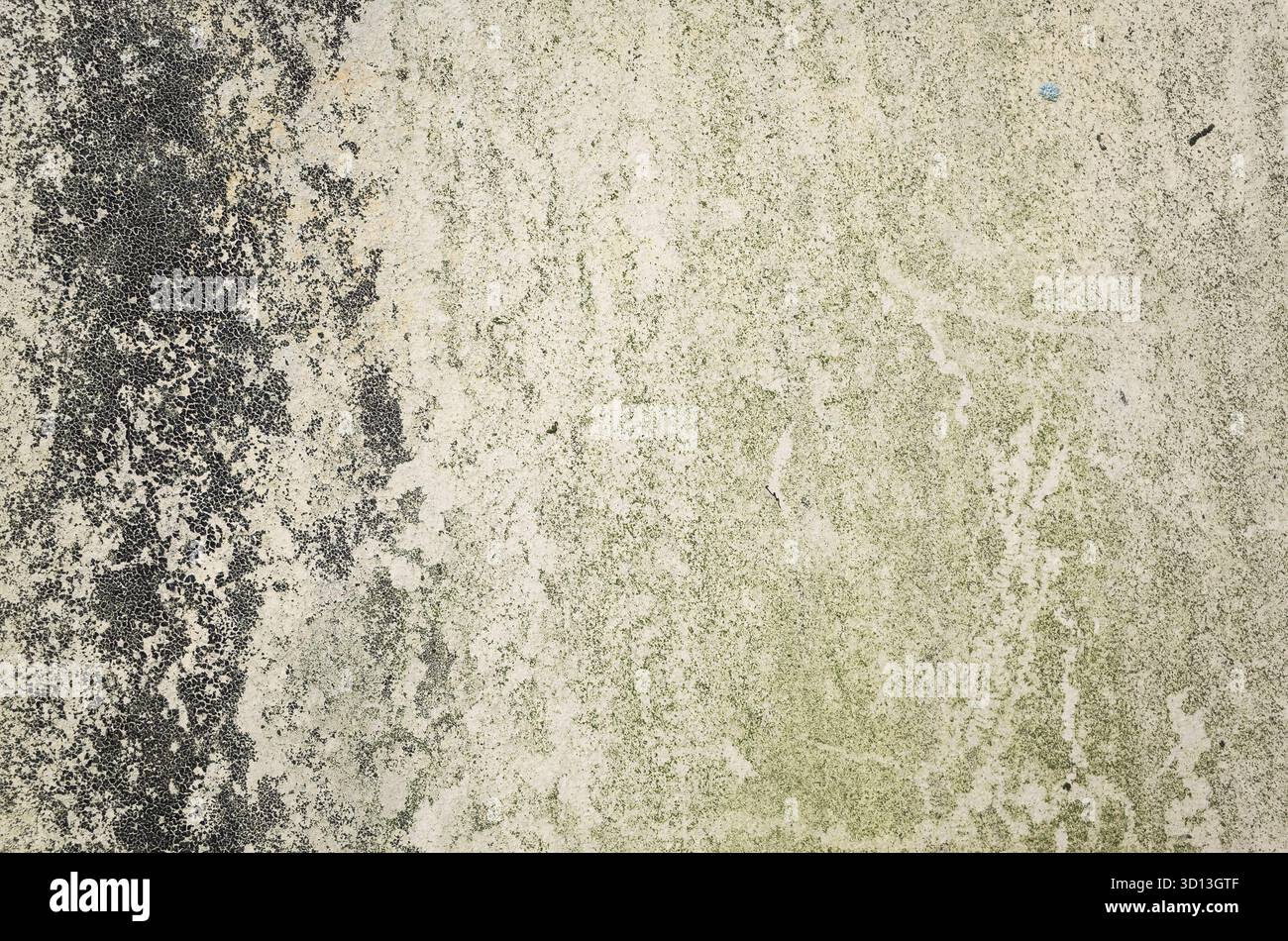 Hintergrund mit Moos an der Wand im Grunge-Stil Stockfoto