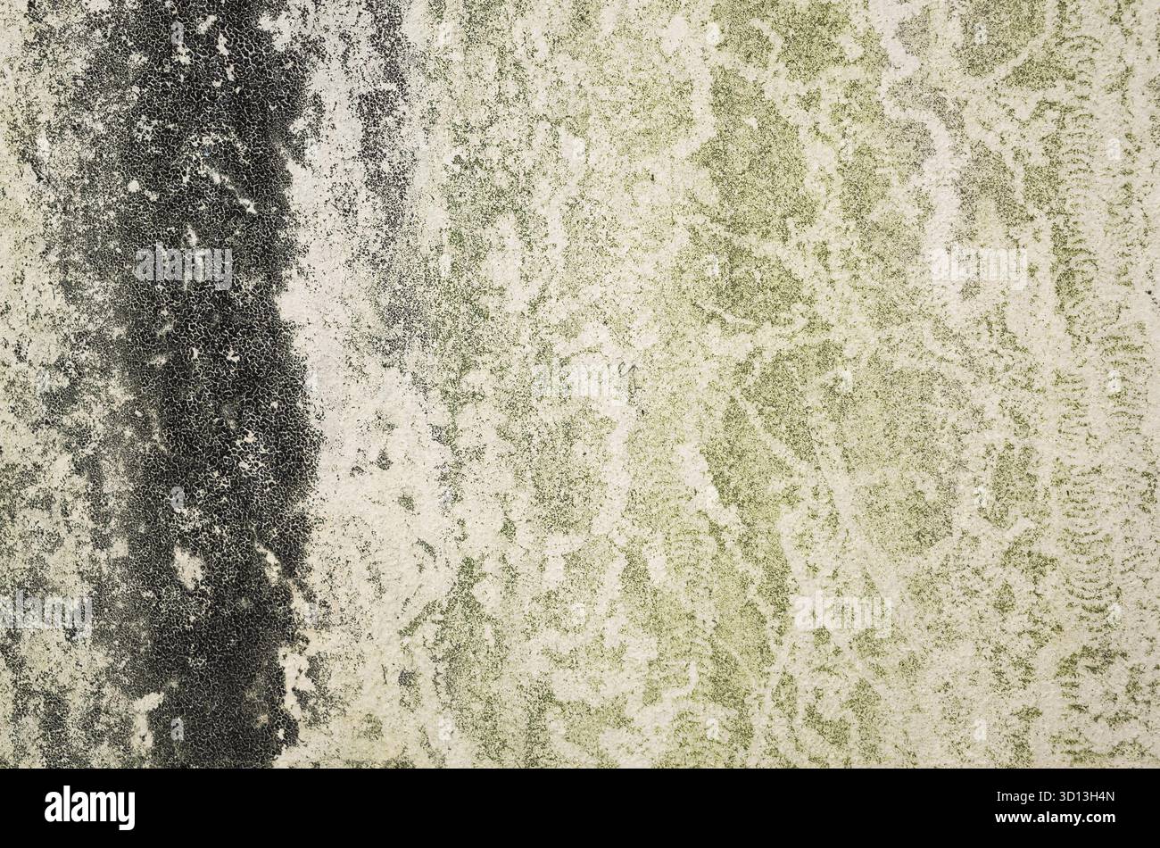 Hintergrund mit Moos an der Wand im Grunge-Stil Stockfoto