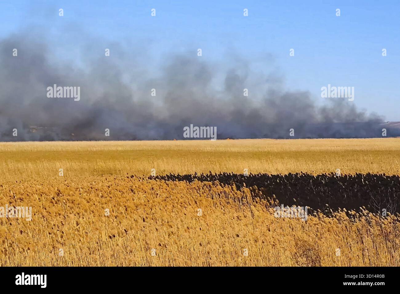Steppenfeuer. Brennendes Trockenrasen, Feuer und Rauch Stockfoto