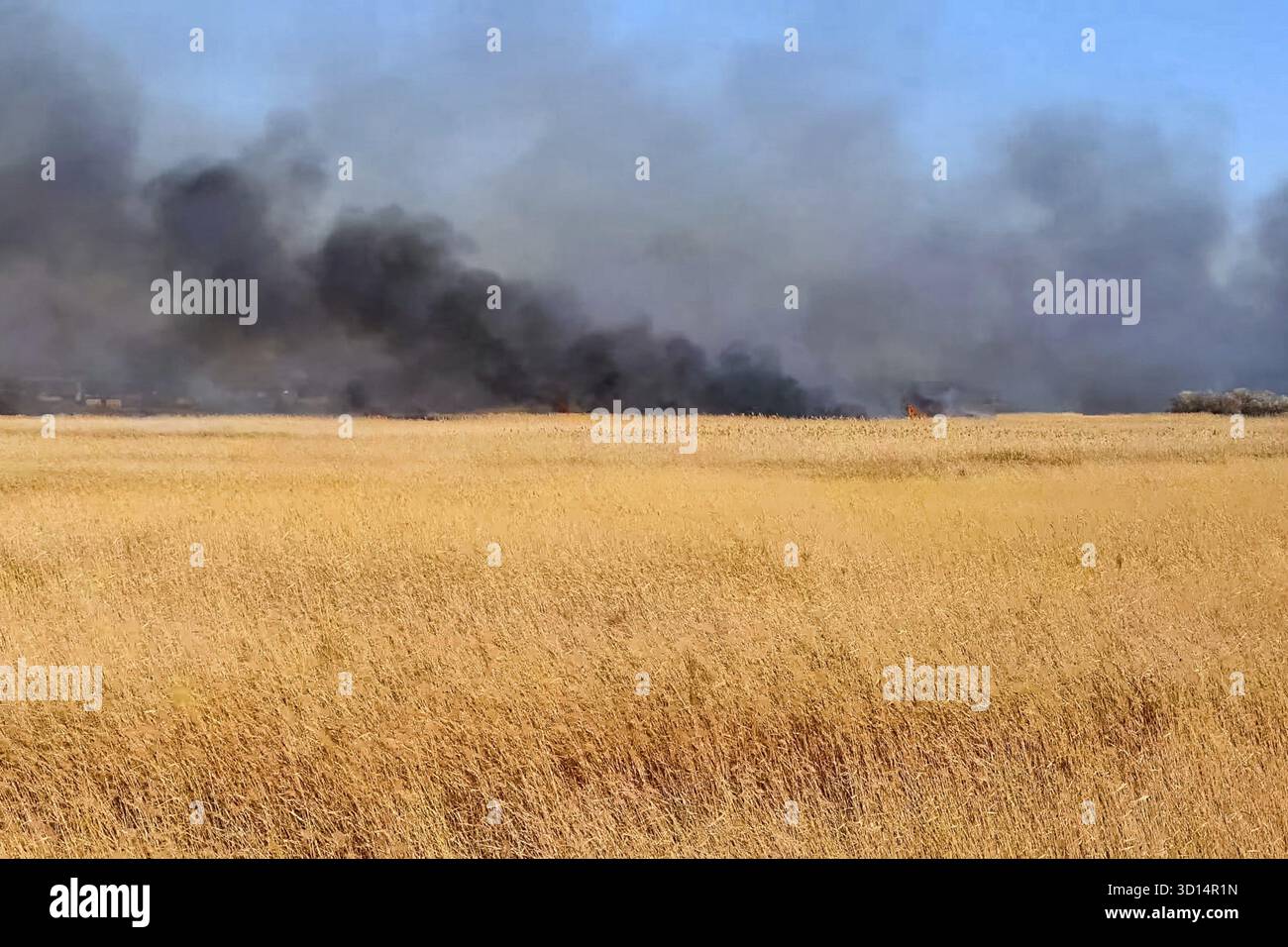 Steppenfeuer. Brennendes Trockenrasen, Feuer und Rauch Stockfoto