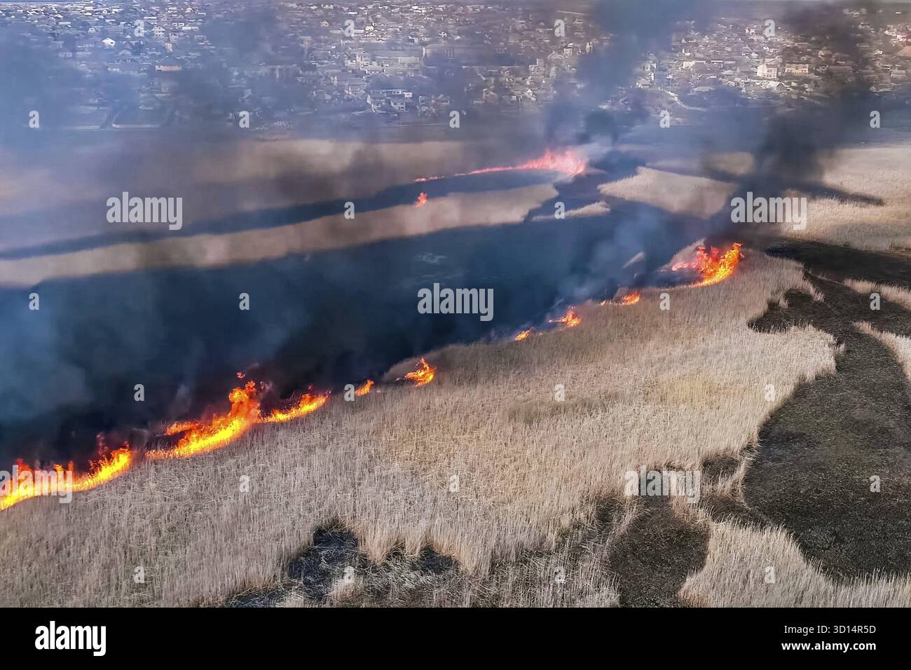 Steppenfeuer. Brennendes Trockenrasen, Feuer und Rauch Stockfoto