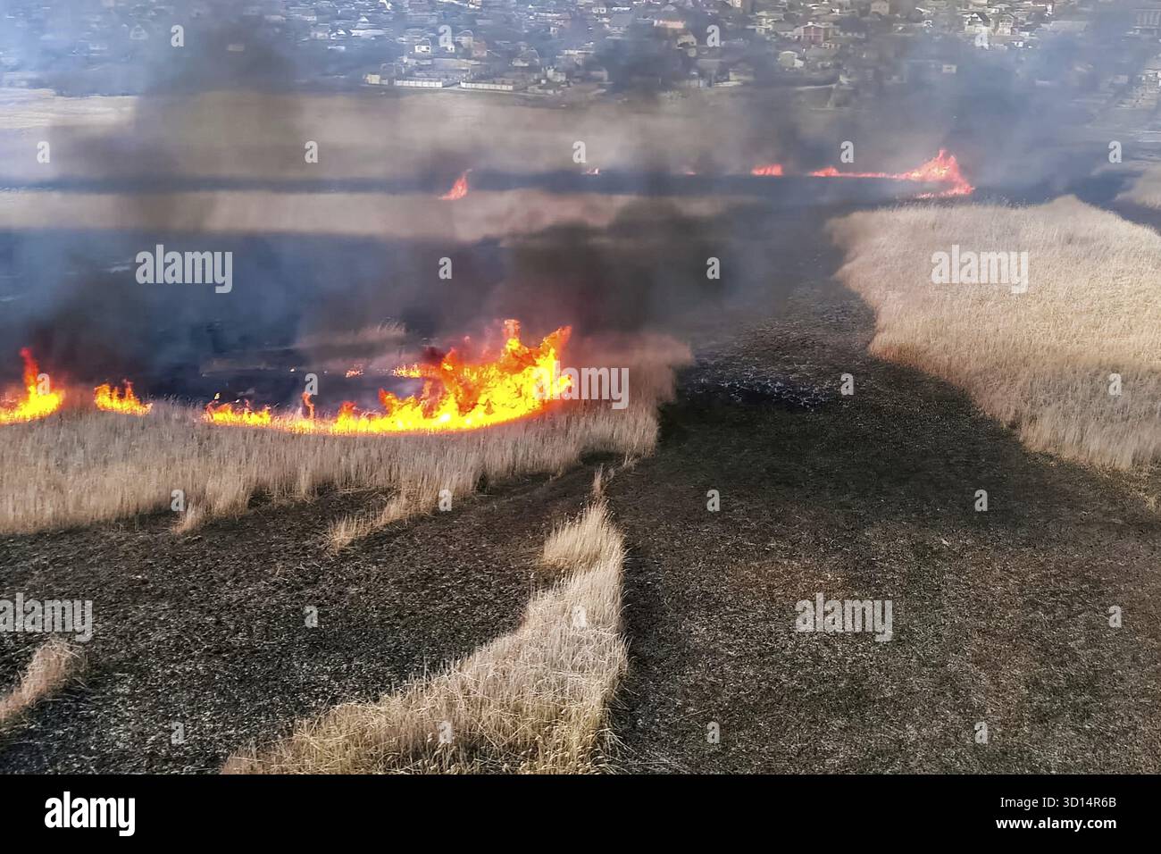 Steppenfeuer. Brennendes Trockenrasen, Feuer und Rauch Stockfoto