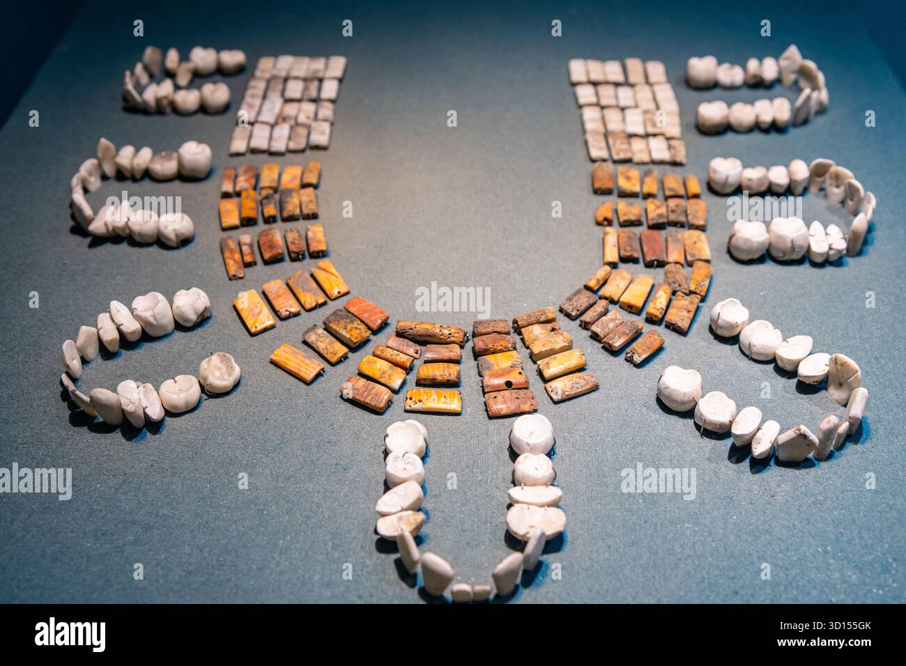 Muschelkette, die menschliche Zähne imitiert, gefunden in Teotihuacan Begräbnissen, gebunden an den Tempel der gefiederten Schlange, Mexiko. Stockfoto
