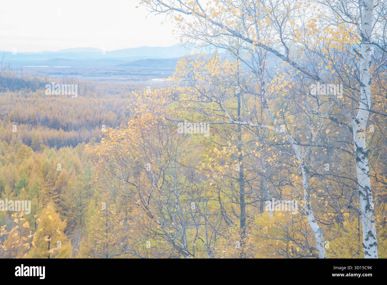 Ein traumhaftes Ambiente der herbstlichen Landschaft im Freien, die einen hoffnungsvollen und fröhlichen Berg und Wald der Mutter Natur einfängt. Stockfoto