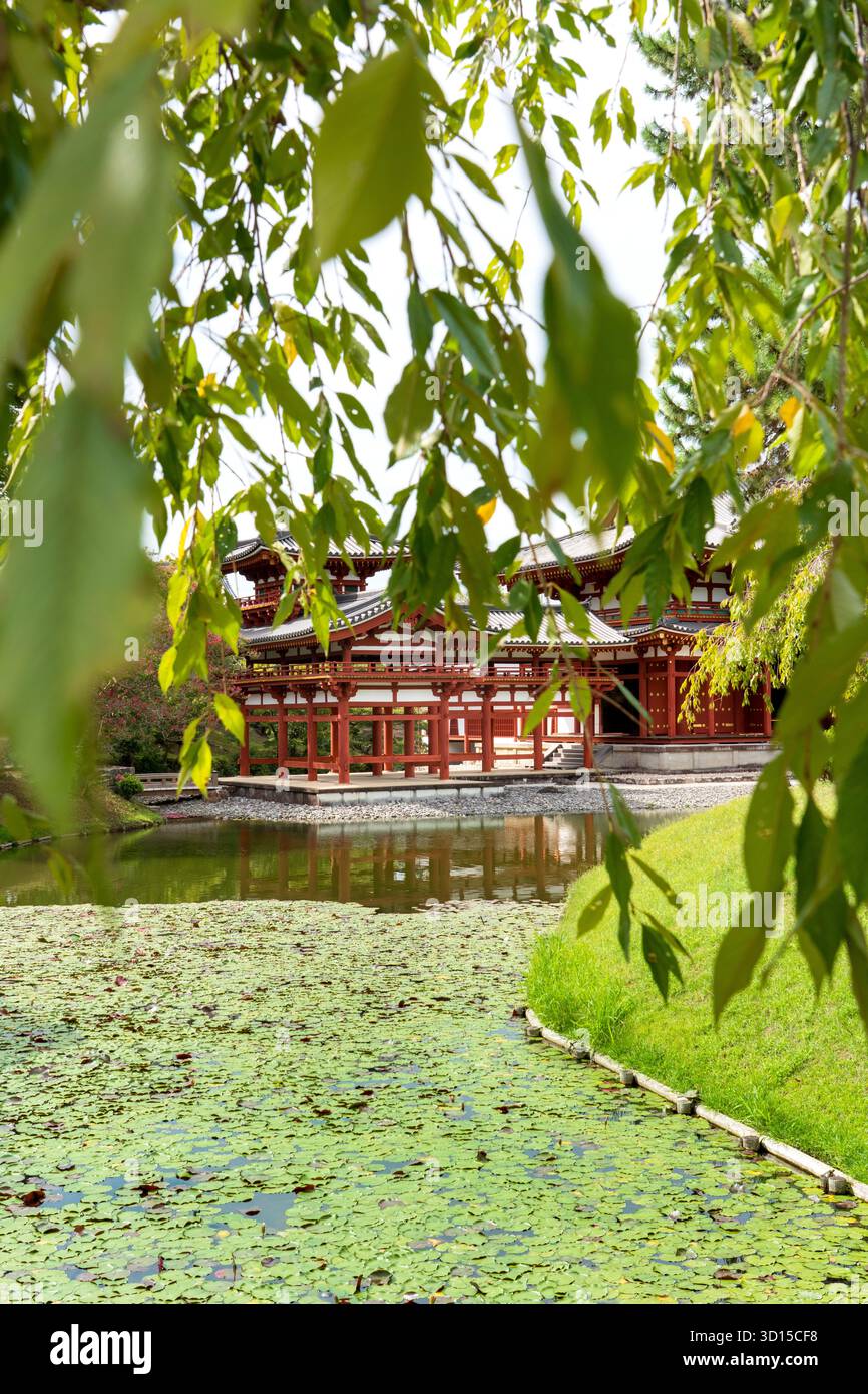 Byōdō-in-Tempel in Uji, Kyoto, UNESCO-Weltkulturerbe, mit der berühmten Phönix-Halle (Hōō-dō) aus dem Jahr 1052. Umgeben von einem ruhigen reinen LAN Stockfoto