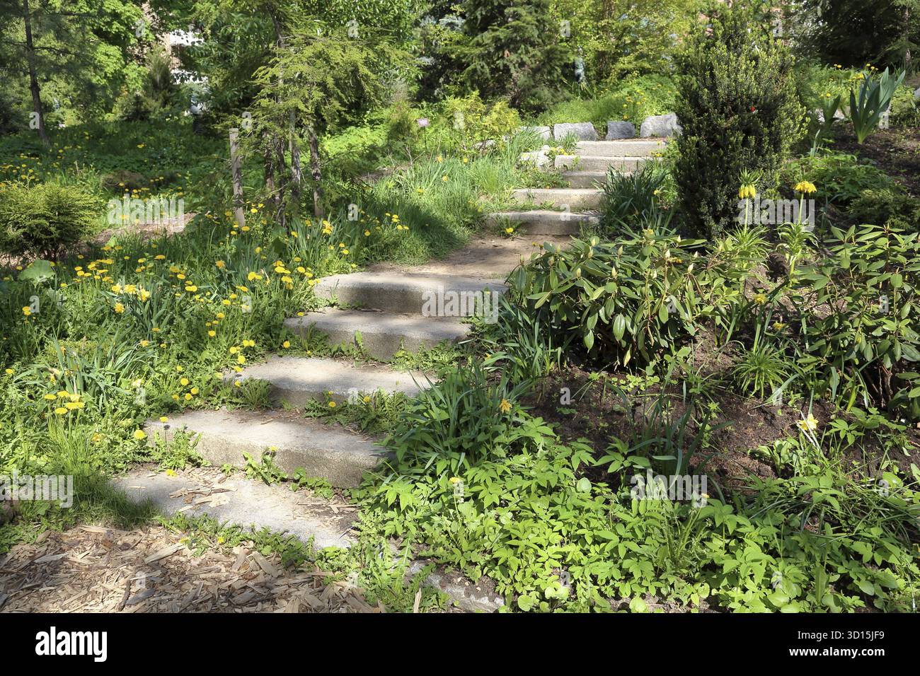 Leiter mit Steintreppen im grünen Stadtpark Stockfoto