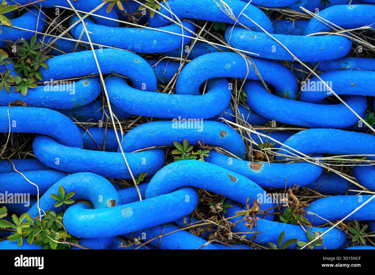 Nahaufnahme von dicken blauen Metallketten, die mit trockenem Gras und kleinen Pflanzen im Freien bedeckt sind. Draufsicht. Stockfoto