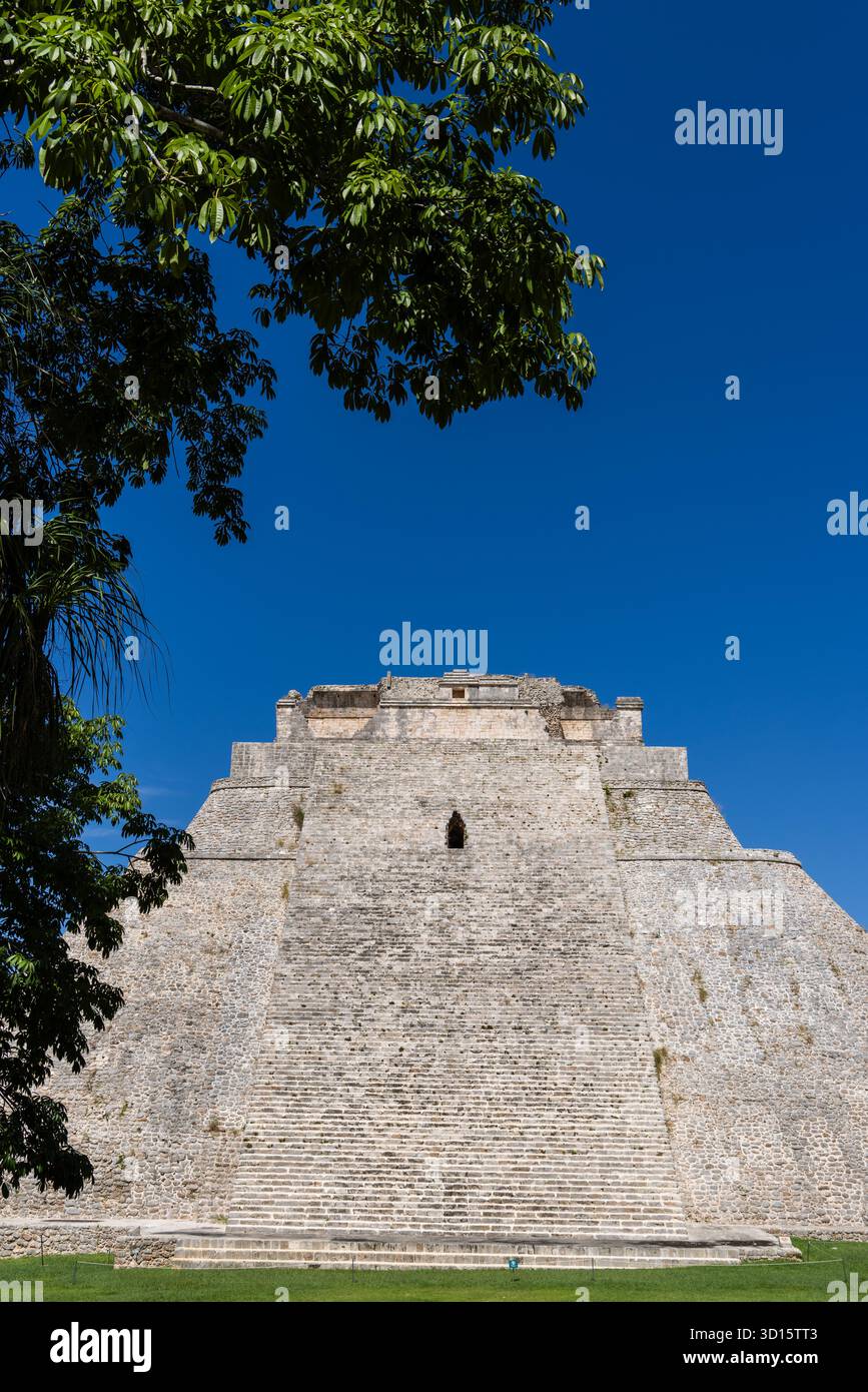 Pyramide des Magiers, von unten durch Äste in Uxmal, Yucatán, Mexiko. Stockfoto